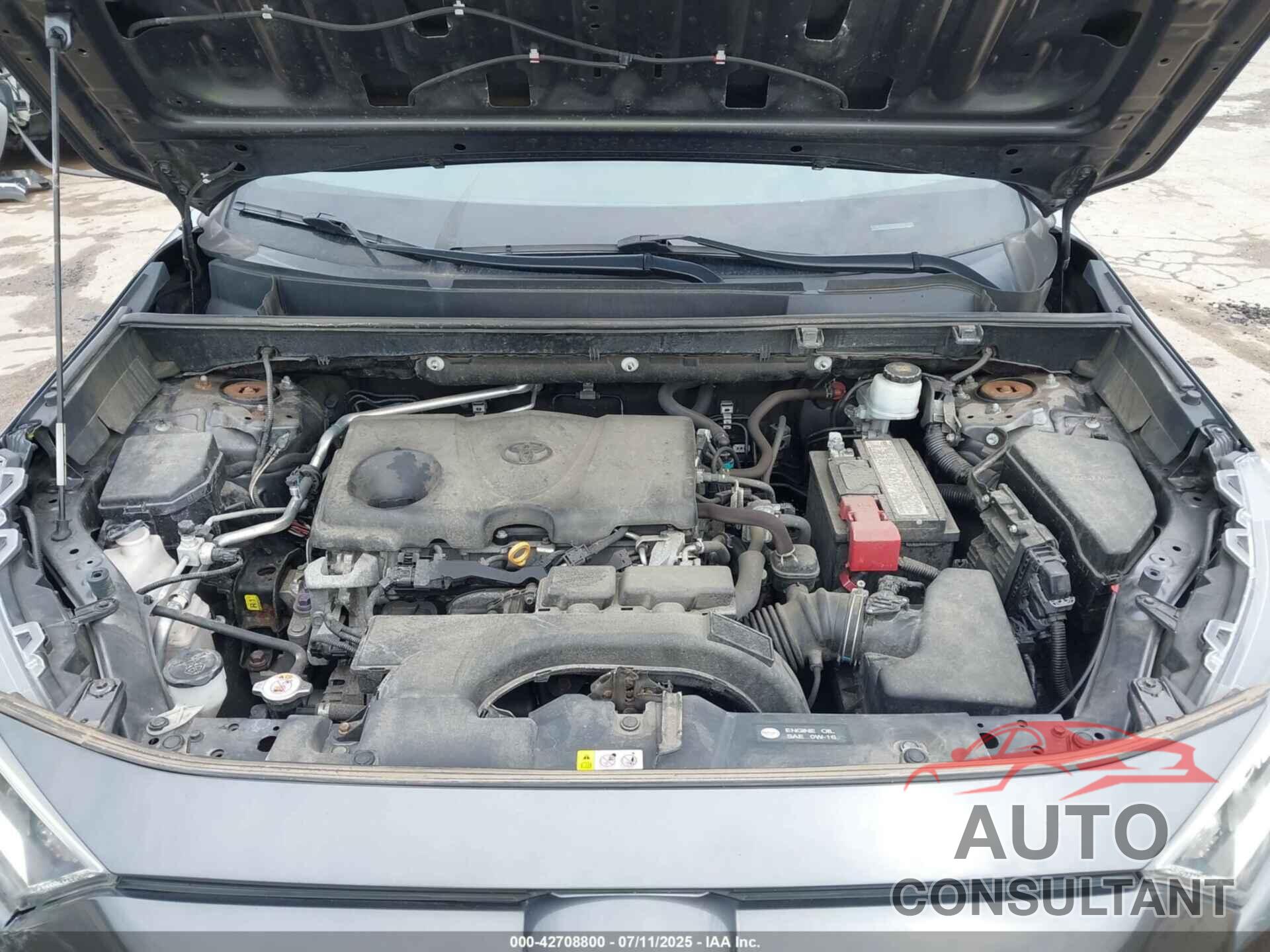 TOYOTA RAV4 2019 - 2T3P1RFV4KC009352