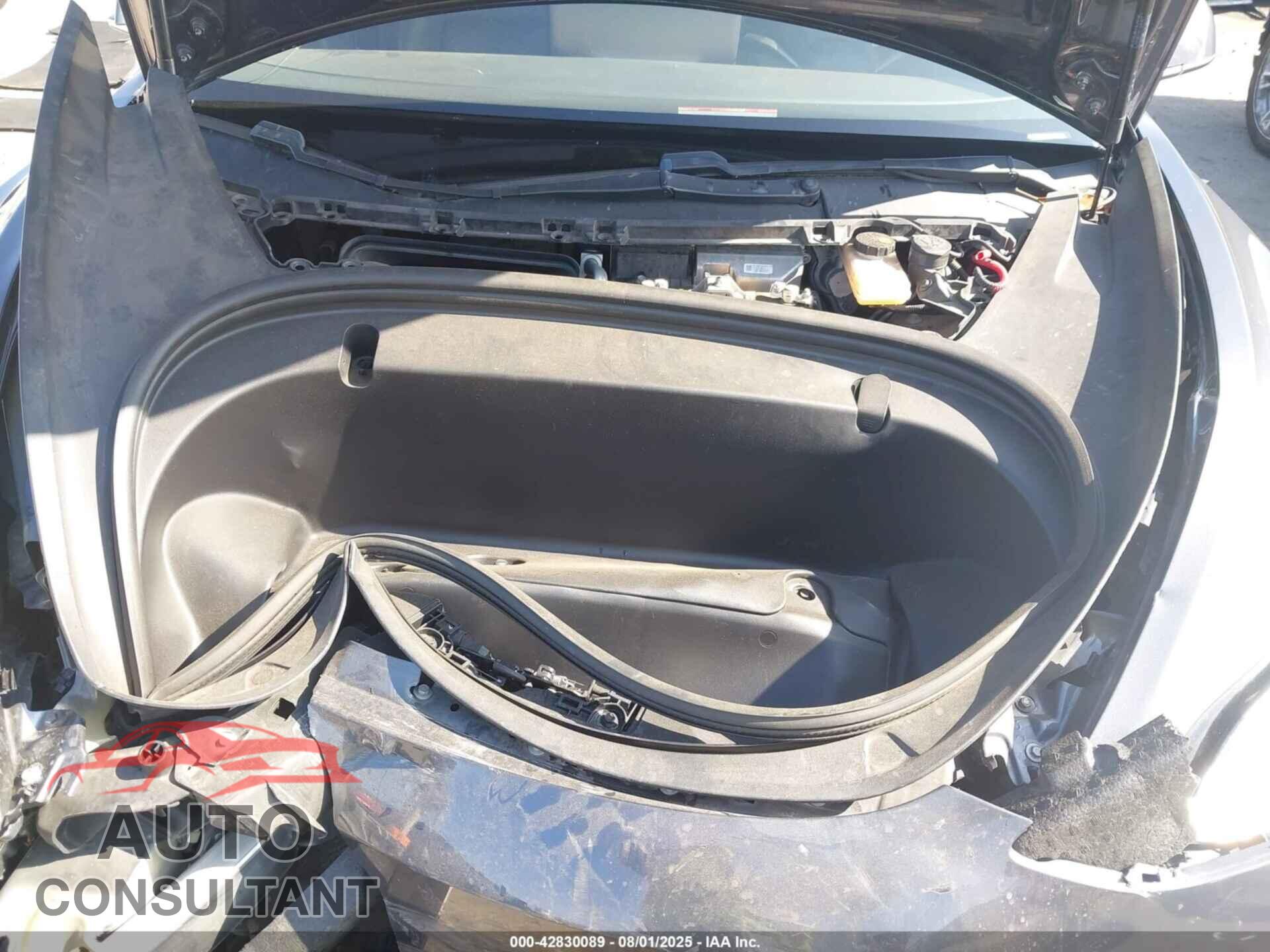 TESLA MODEL 3 2019 - 5YJ3E1EB4KF385937