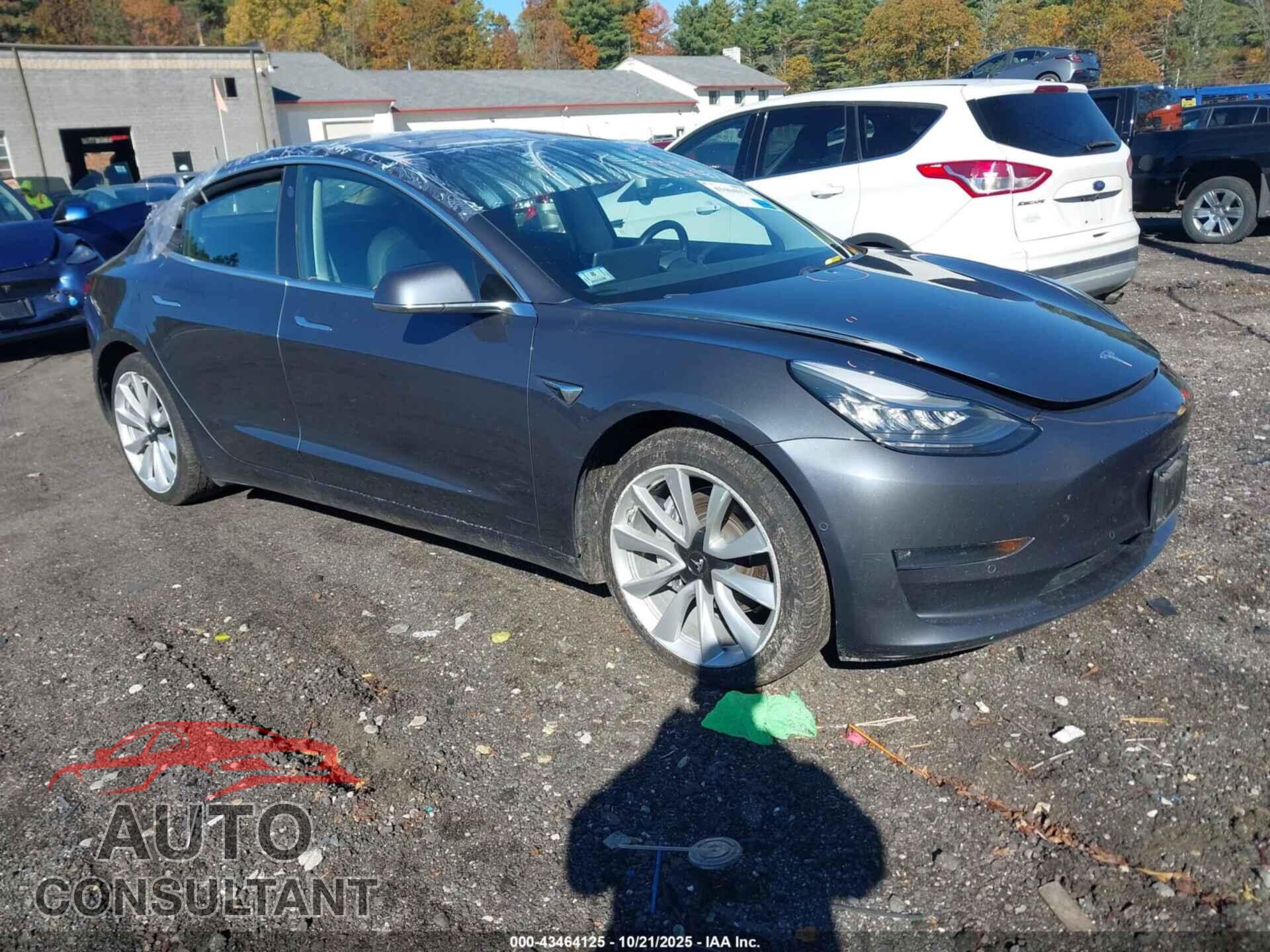 TESLA MODEL 3 2019 - 5YJ3E1EA3KF300884