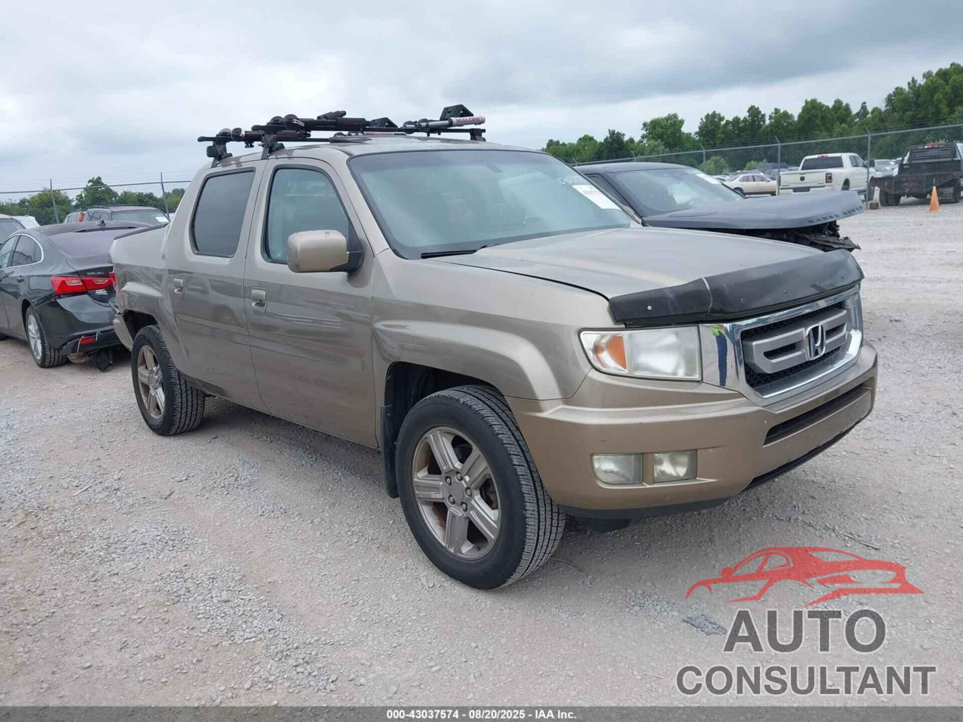 HONDA RIDGELINE 2010 - 5FPYK1F55AB501868