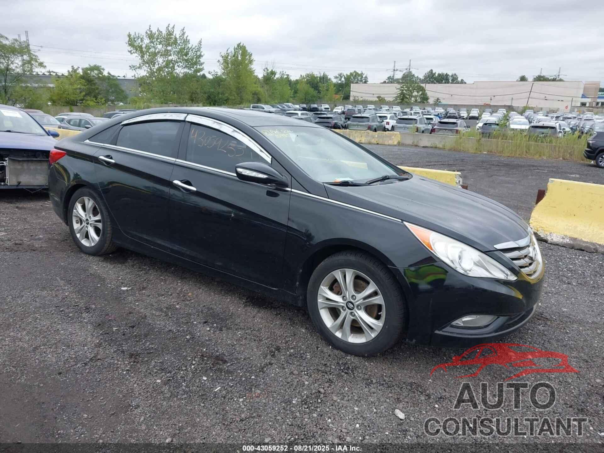 HYUNDAI SONATA 2011 - 5NPEC4AC6BH231441