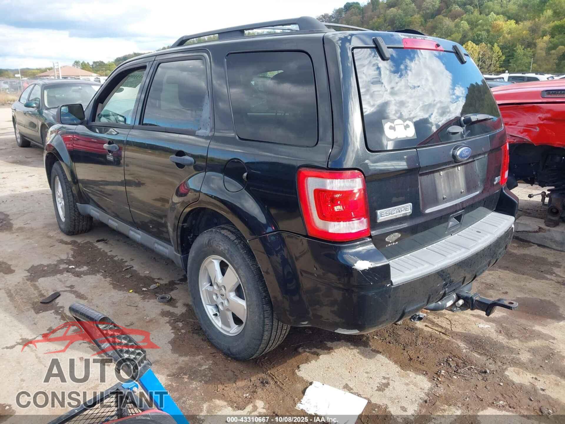 FORD ESCAPE 2011 - 1FMCU0DG8BKC21583