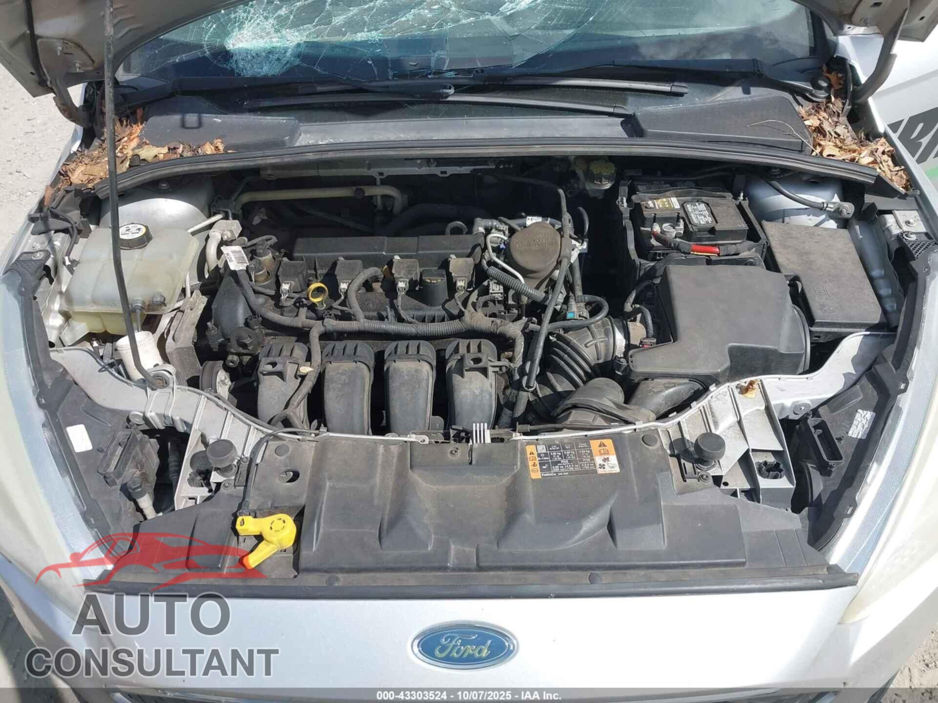 FORD FOCUS 2016 - 1FADP3E27GL311237