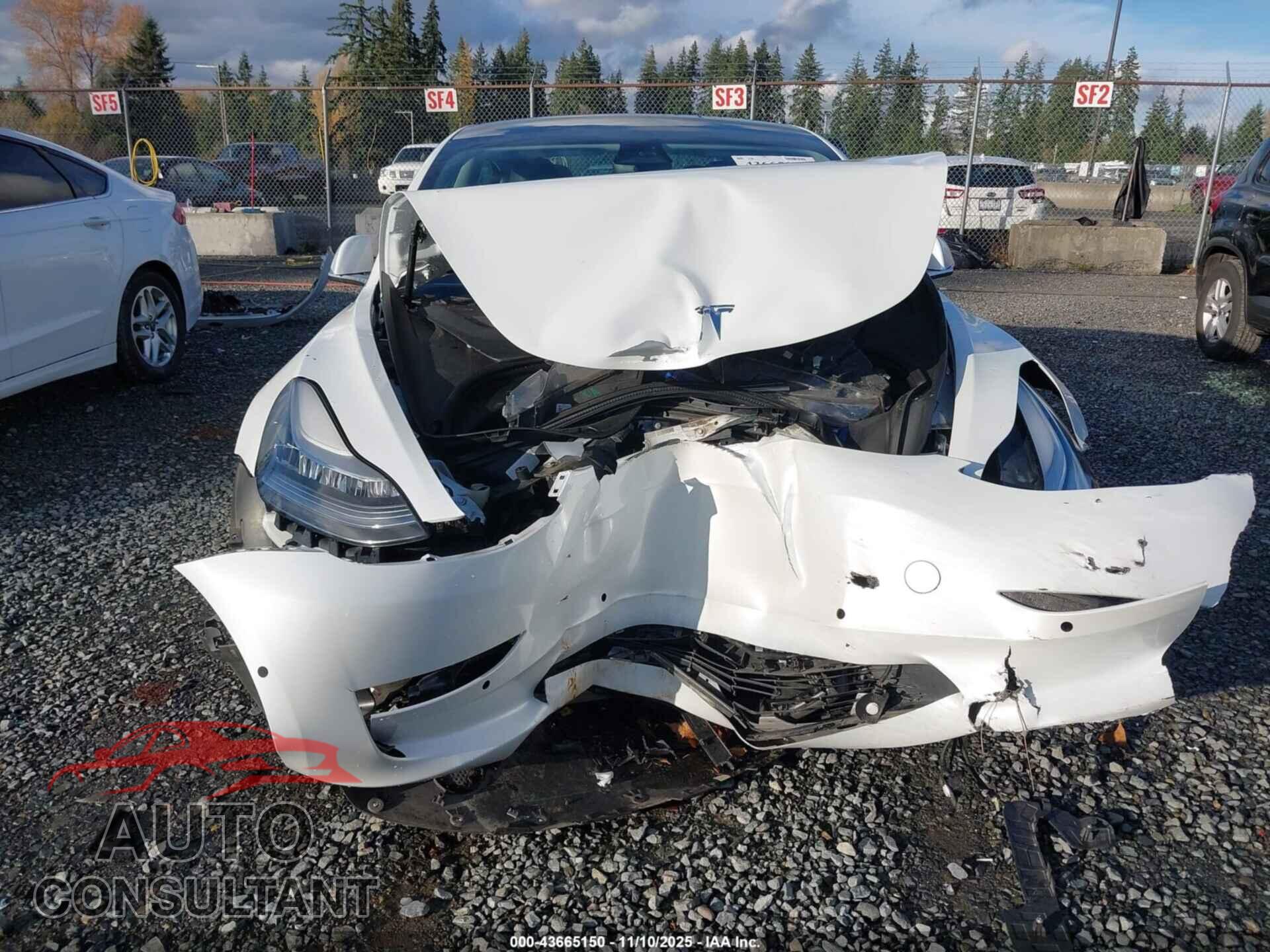TESLA MODEL 3 2019 - 5YJ3E1EB4KF211771