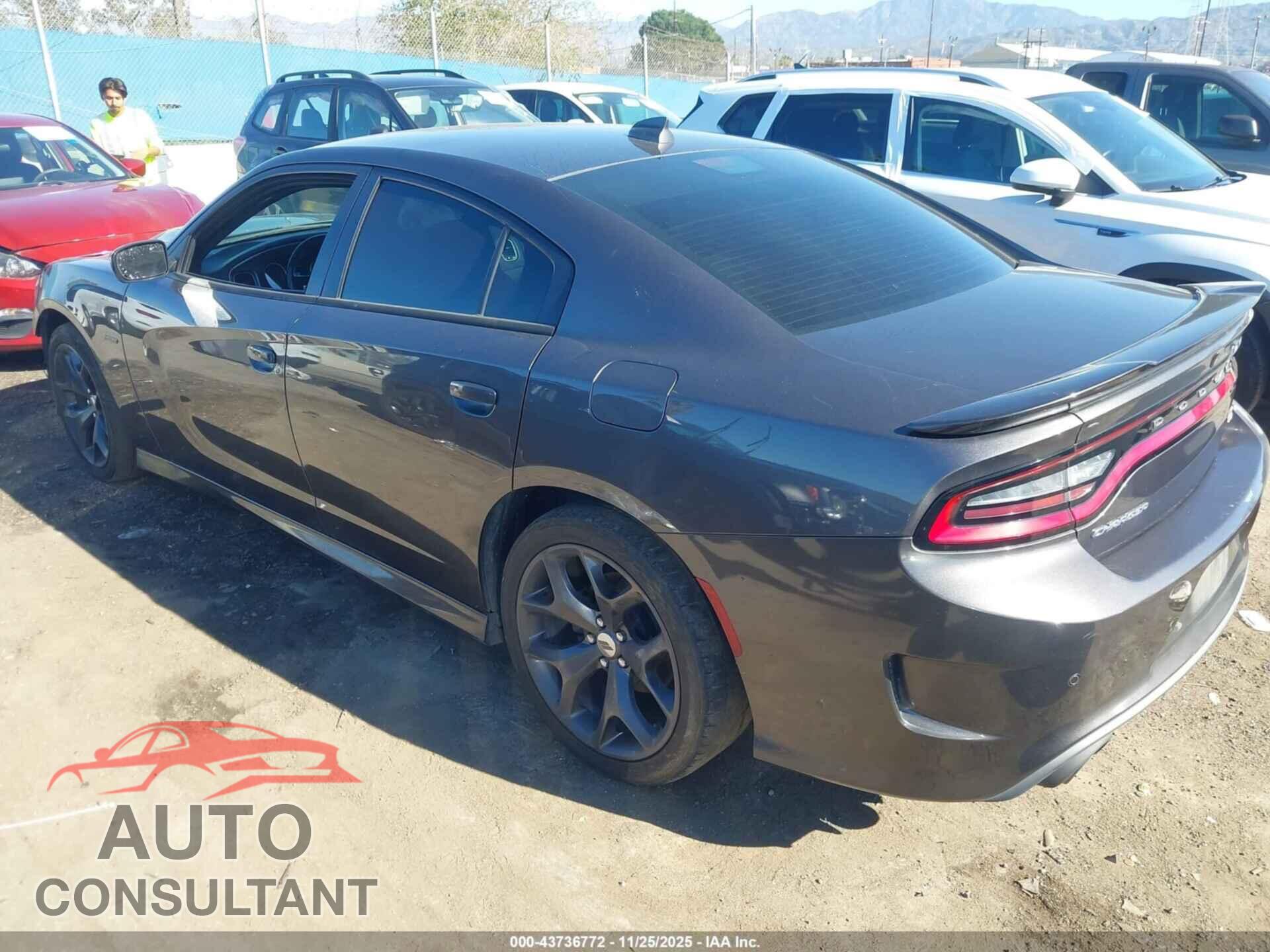DODGE CHARGER 2019 - 2C3CDXCT0KH630135