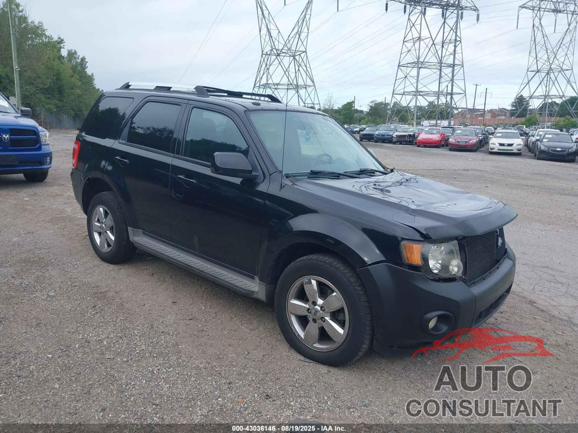 FORD ESCAPE 2010 - 1FMCU9EG8AKD31065