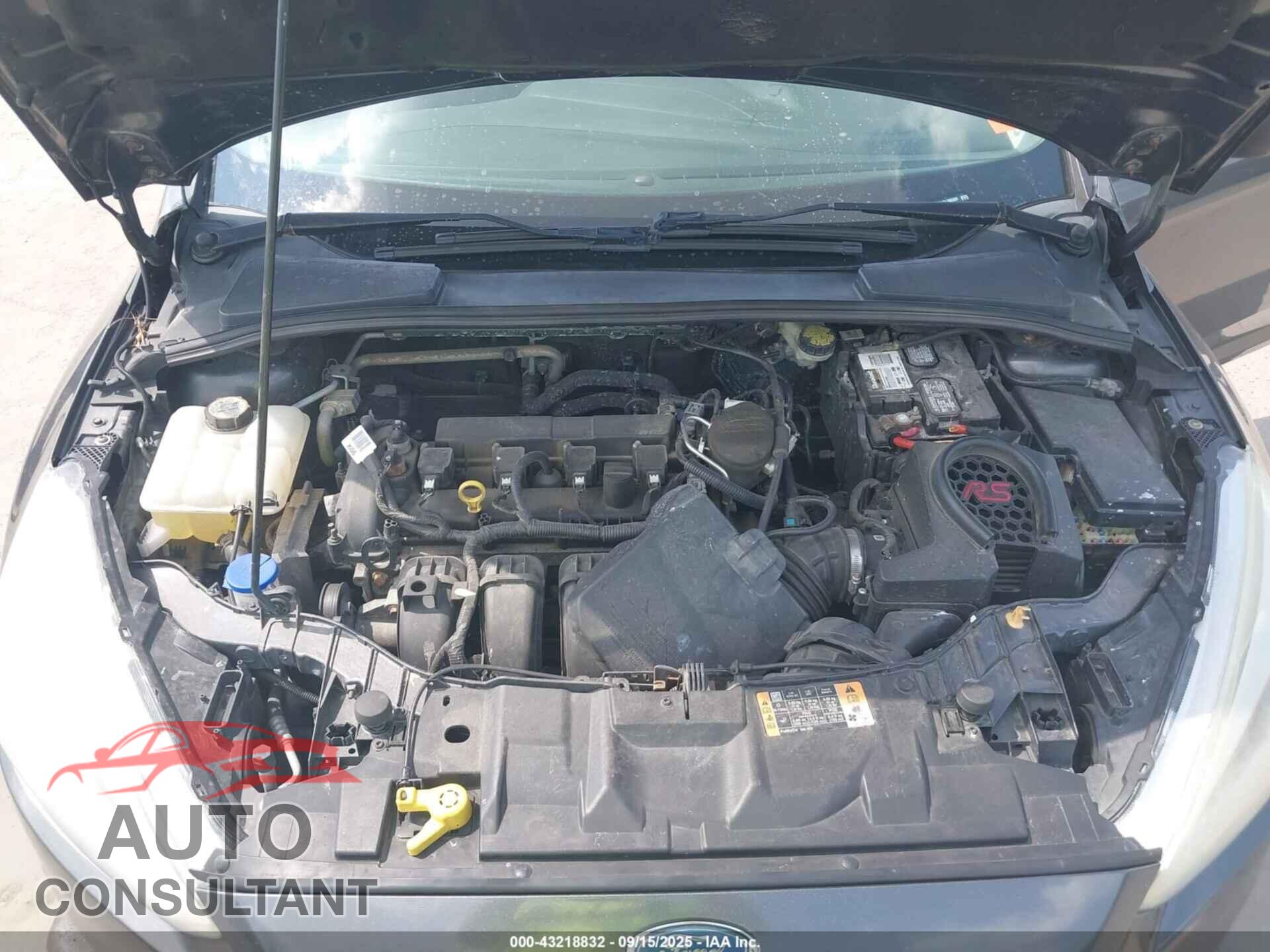 FORD FOCUS 2016 - 1FADP3E21GL288389