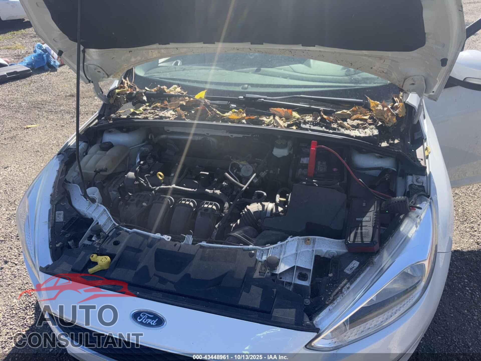 FORD FOCUS 2017 - 1FADP3F24HL259498