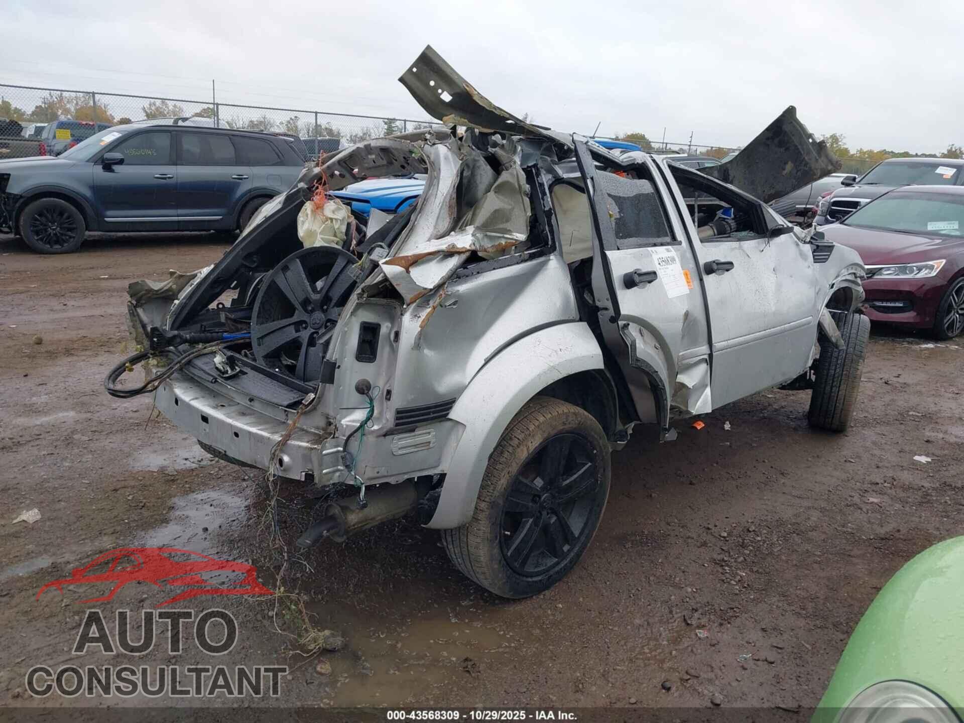 DODGE NITRO 2011 - 1D4PU4GK6BW598146