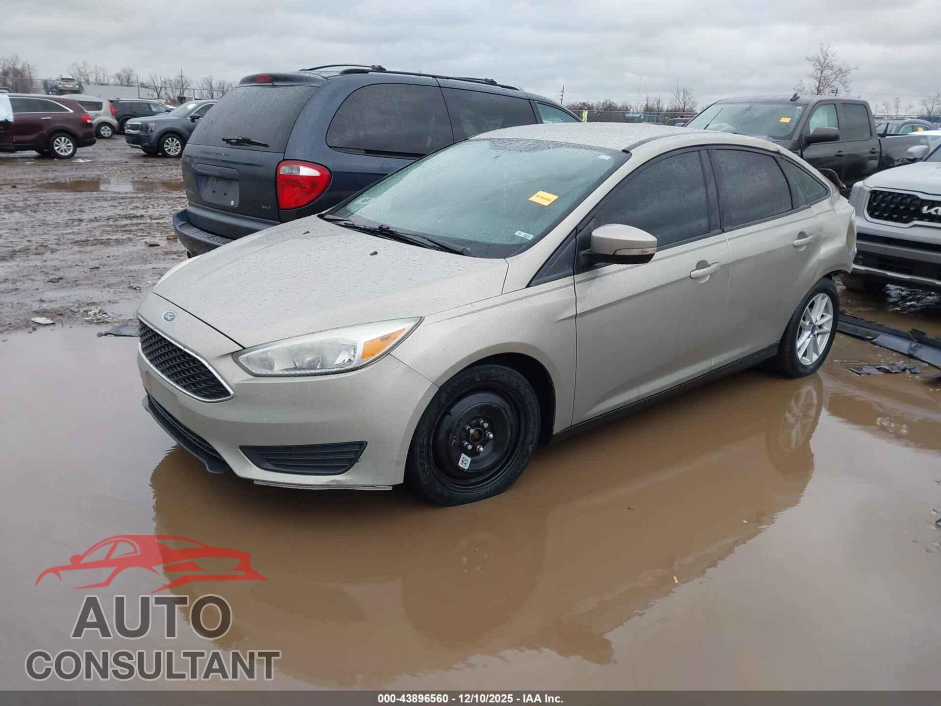 FORD FOCUS 2016 - 1FADP3F23GL283628