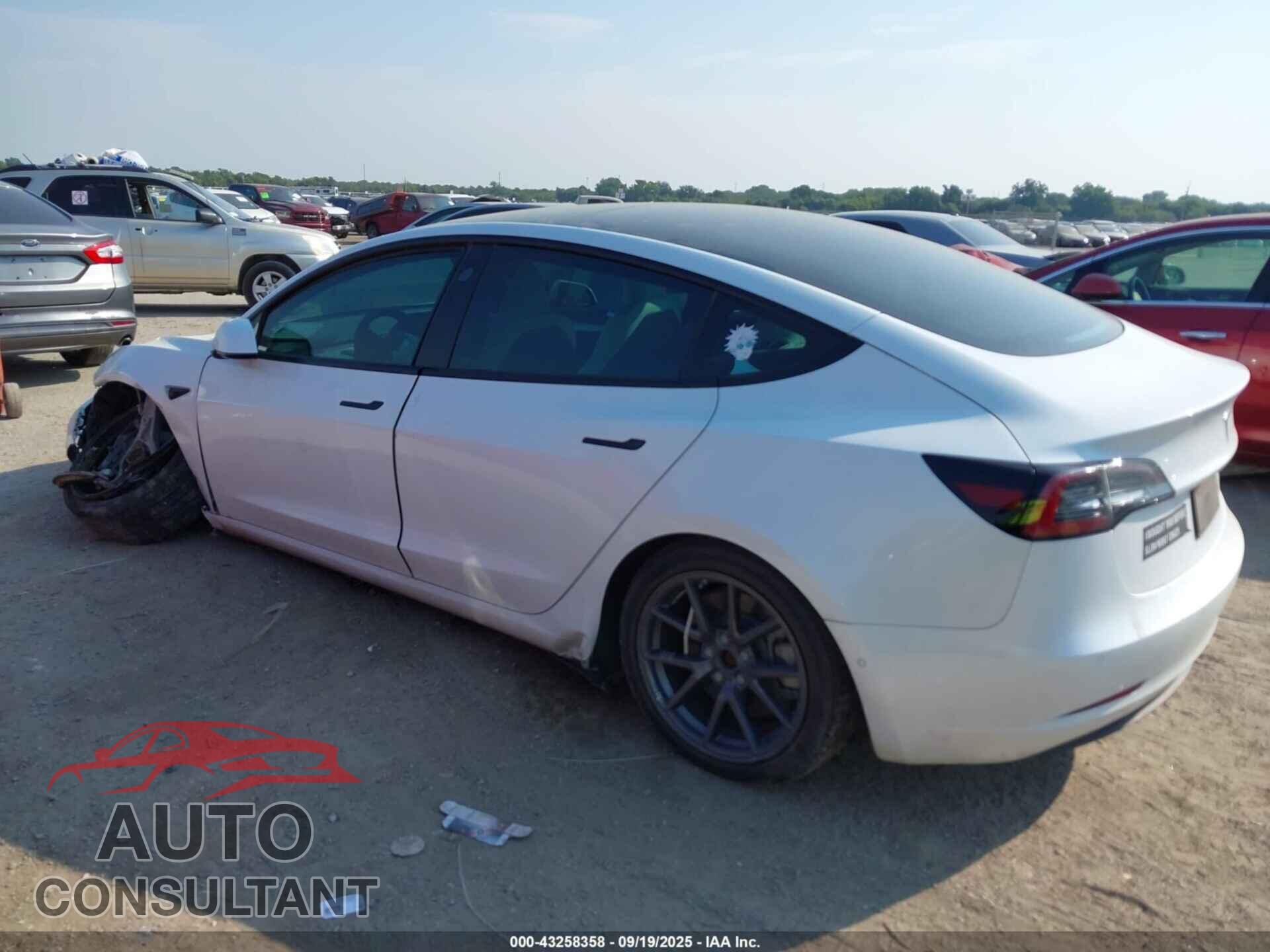 TESLA MODEL 3 2021 - 5YJ3E1EB7MF020011