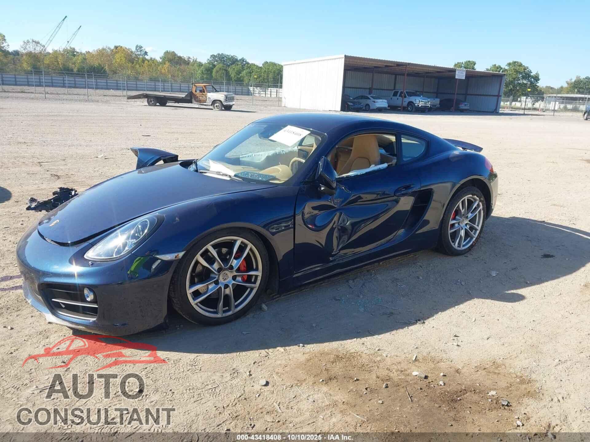 PORSCHE CAYMAN 2014 - WP0AB2A89EK190892