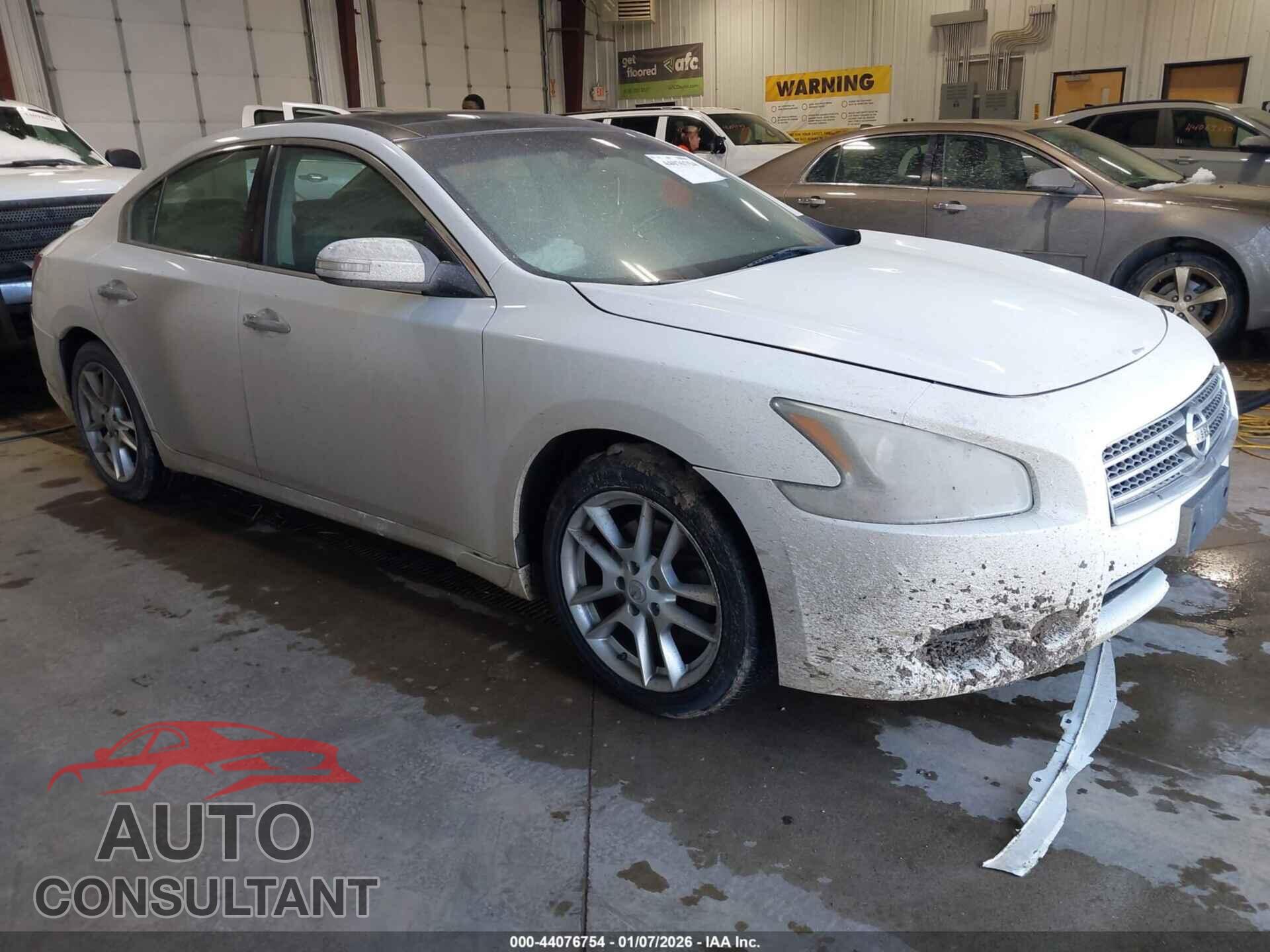 NISSAN MAXIMA 2011 - 1N4AA5AP6BC856484