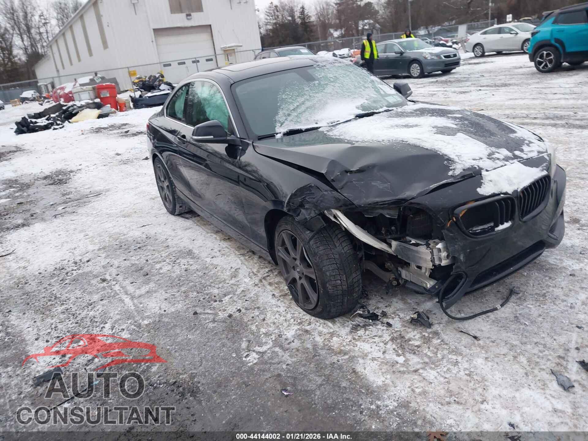 BMW 228I 2015 - WBA1F7C58FVX95696