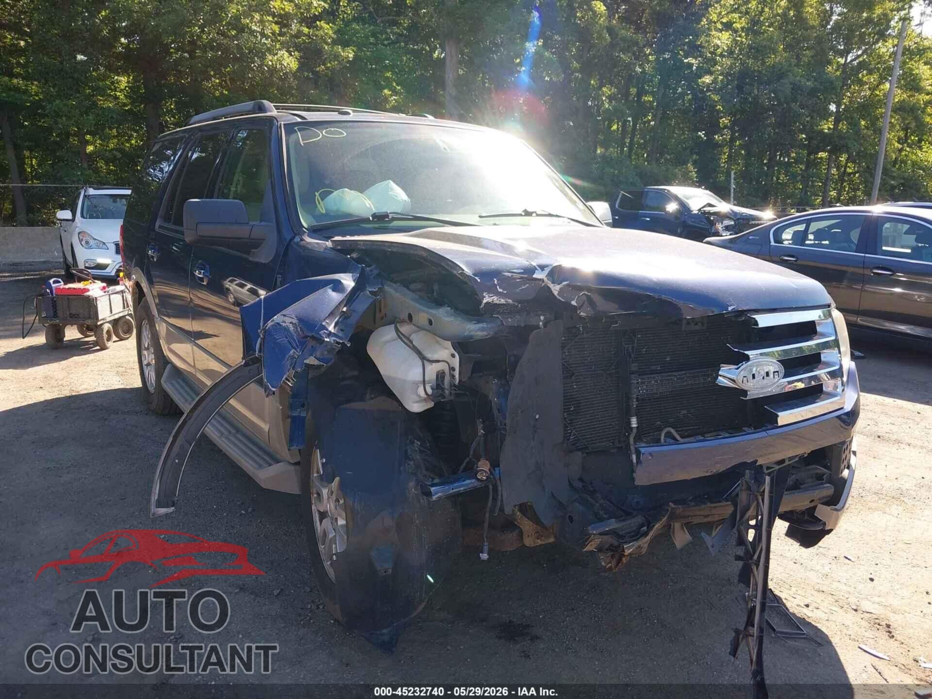 FORD EXPEDITION 2009 - 1FMFU18509EB20249