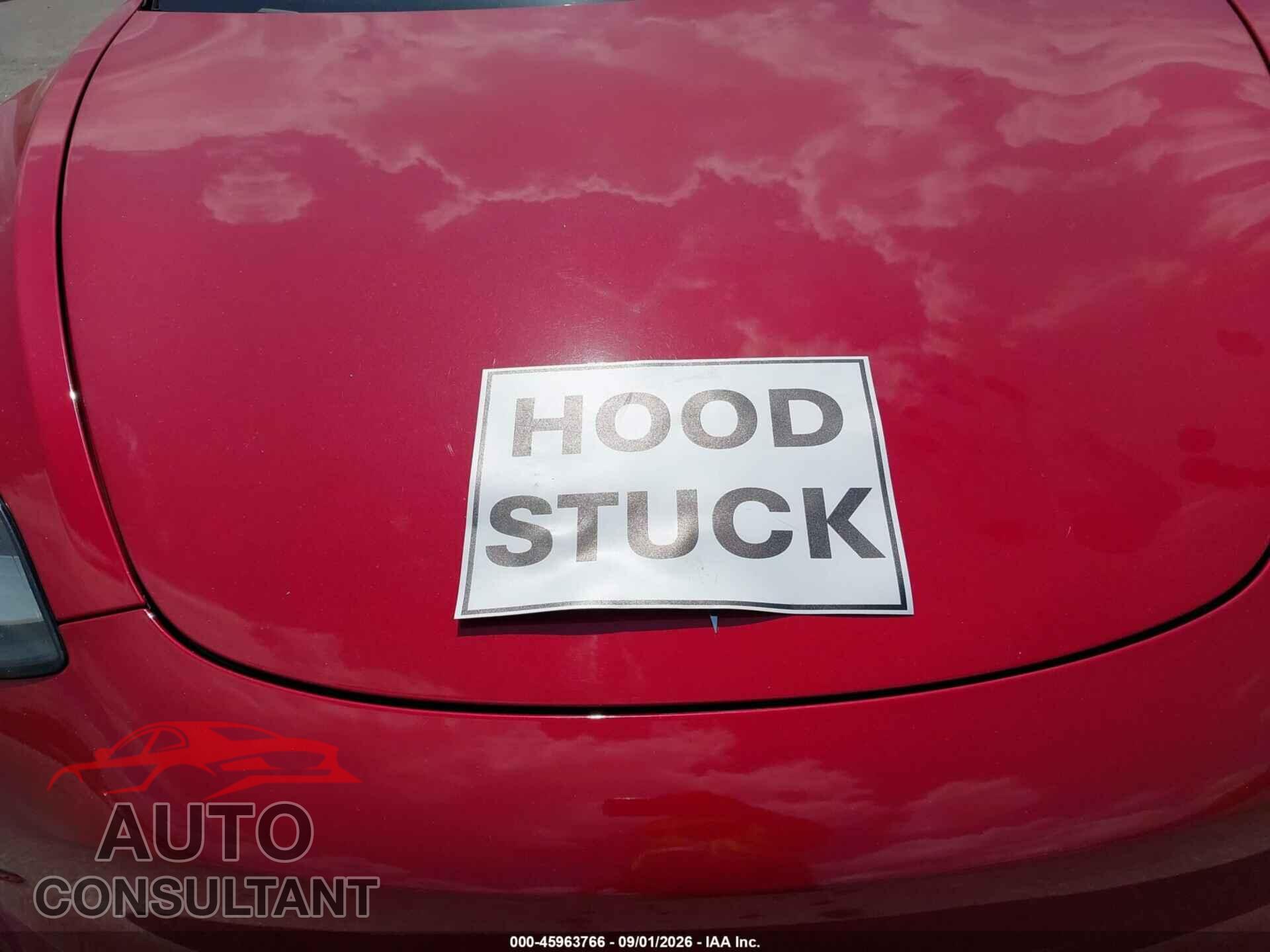 TESLA MODEL 3 2019 - 5YJ3E1EA0KF308599