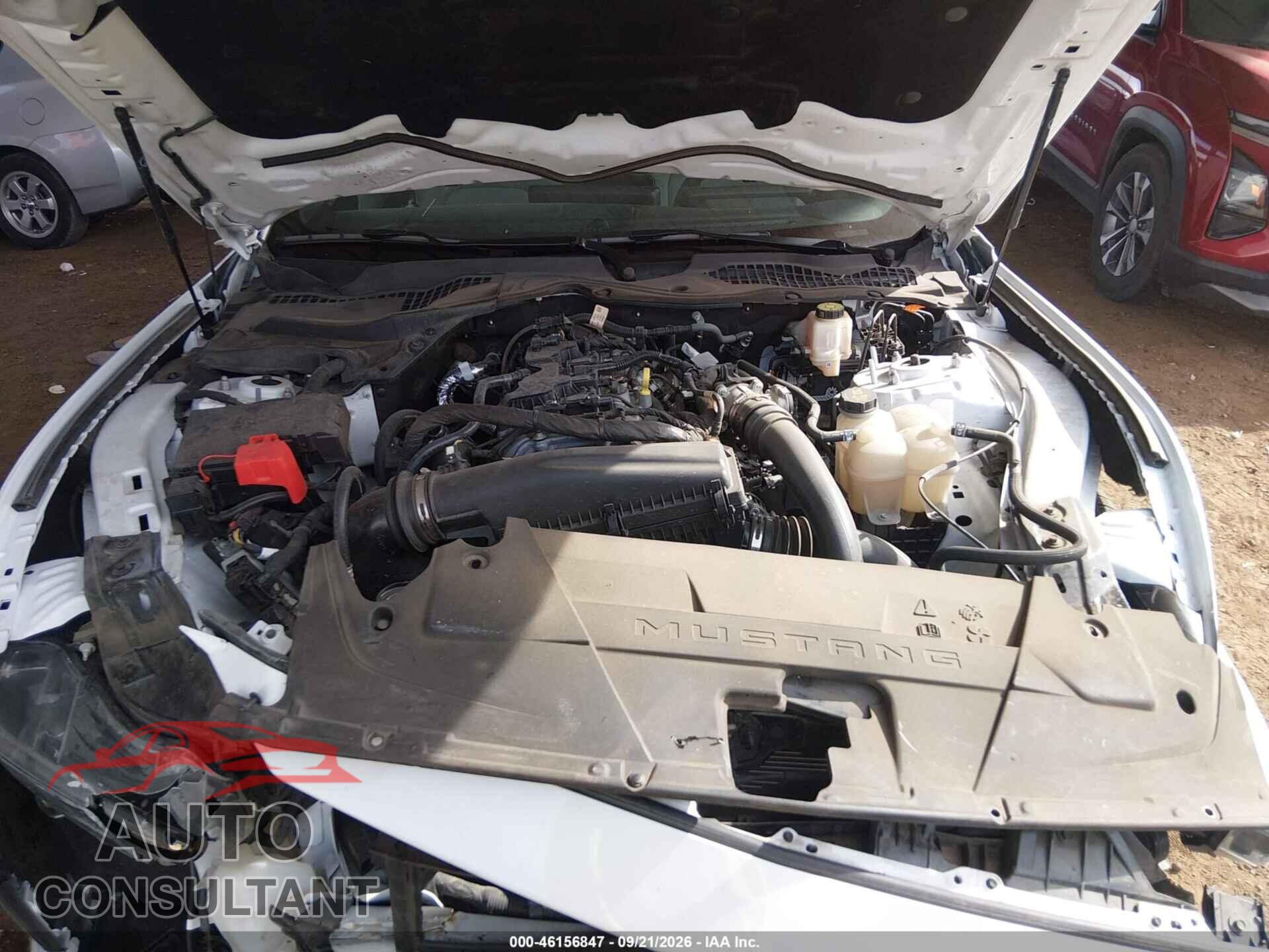 FORD MUSTANG 2024 - 1FA6P8TH3R5111248