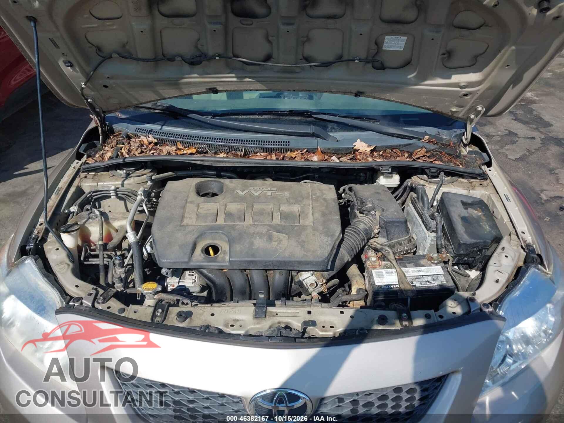TOYOTA COROLLA 2010 - 2T1BU4EE7AC486015