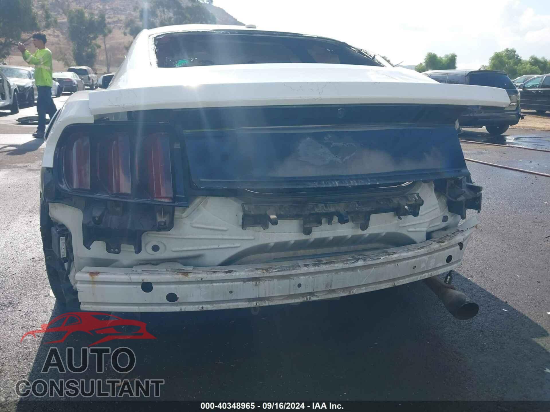FORD MUSTANG 2015 - 1FA6P8TH2F5392003