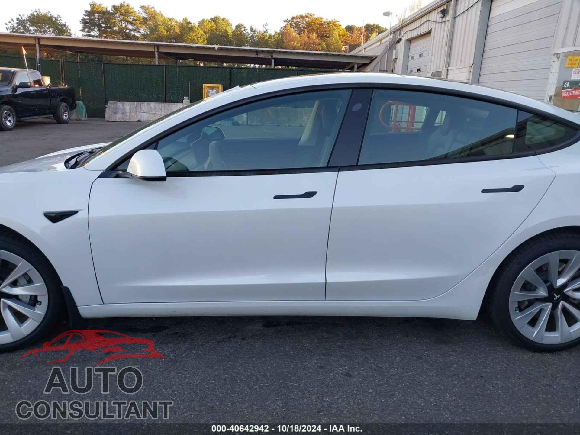 TESLA MODEL 3 2021 - 5YJ3E1EBXMF855729