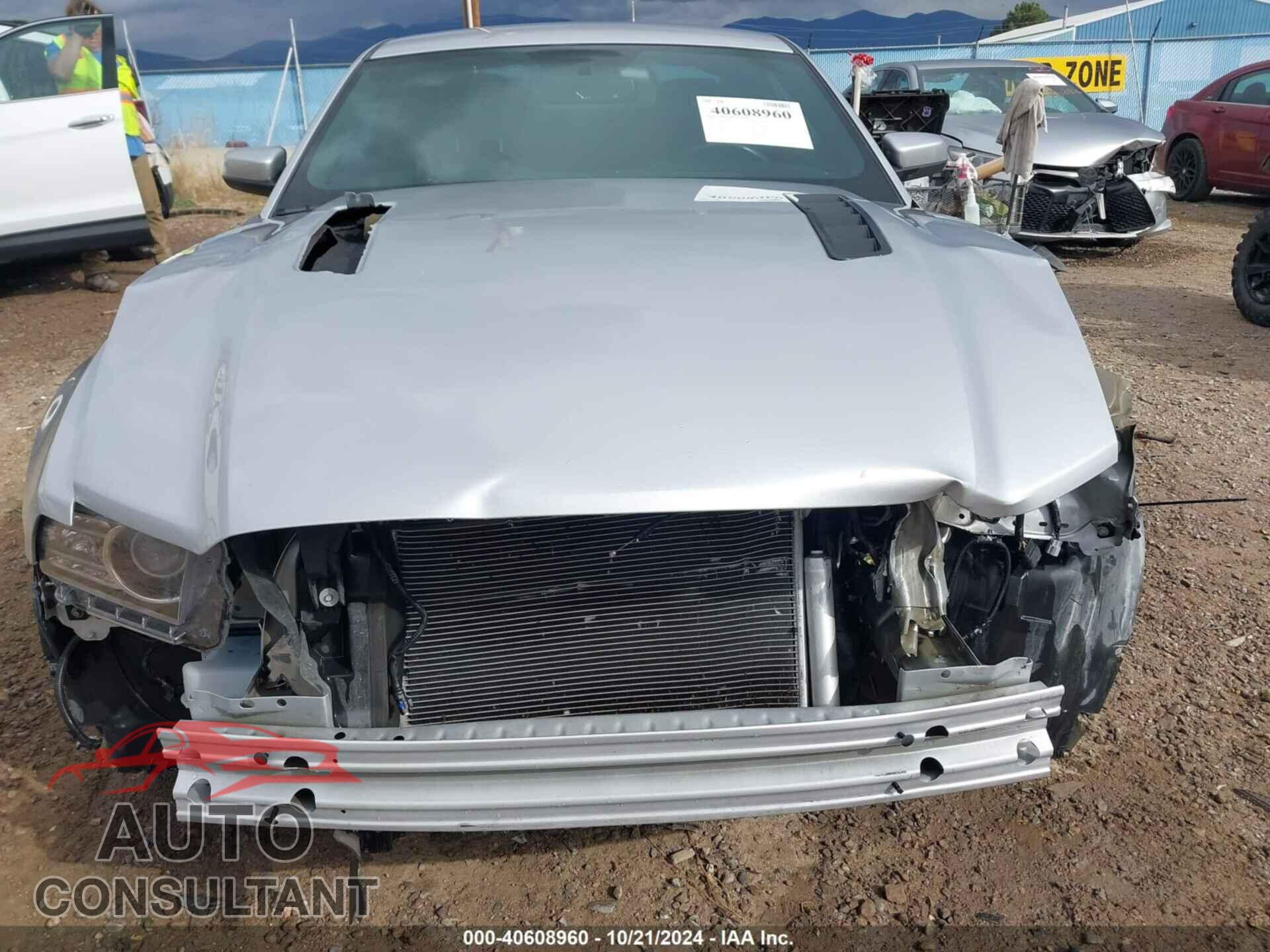 FORD MUSTANG 2014 - 1ZVBP8CF2E5228933