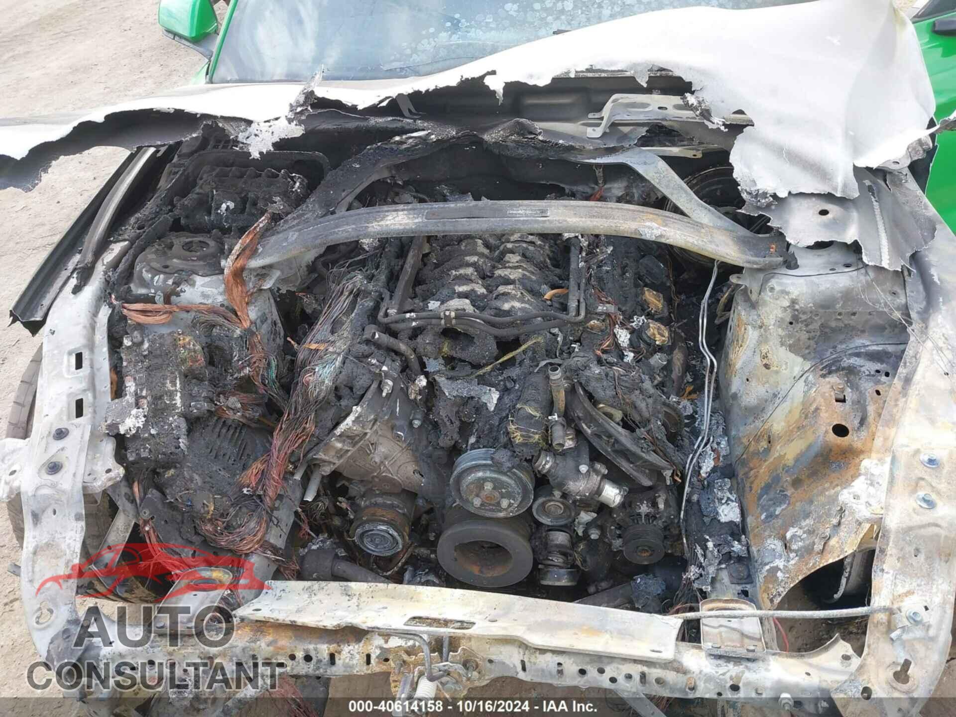 FORD MUSTANG 2019 - 1FA6P8CF1K5201454
