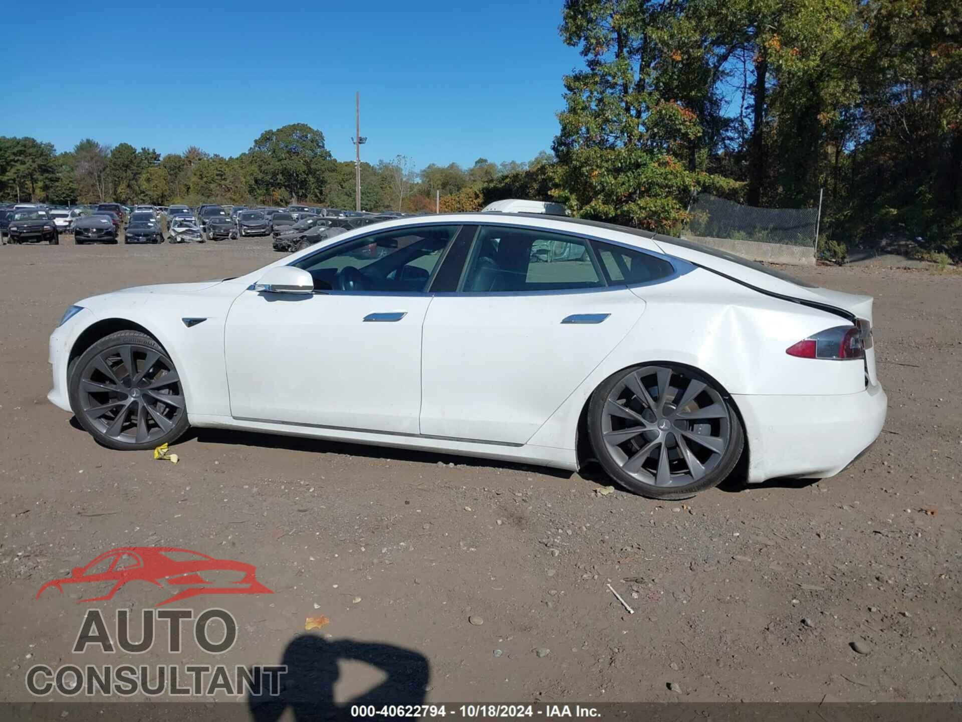 TESLA MODEL S 2020 - 5YJSA1E21LF411791