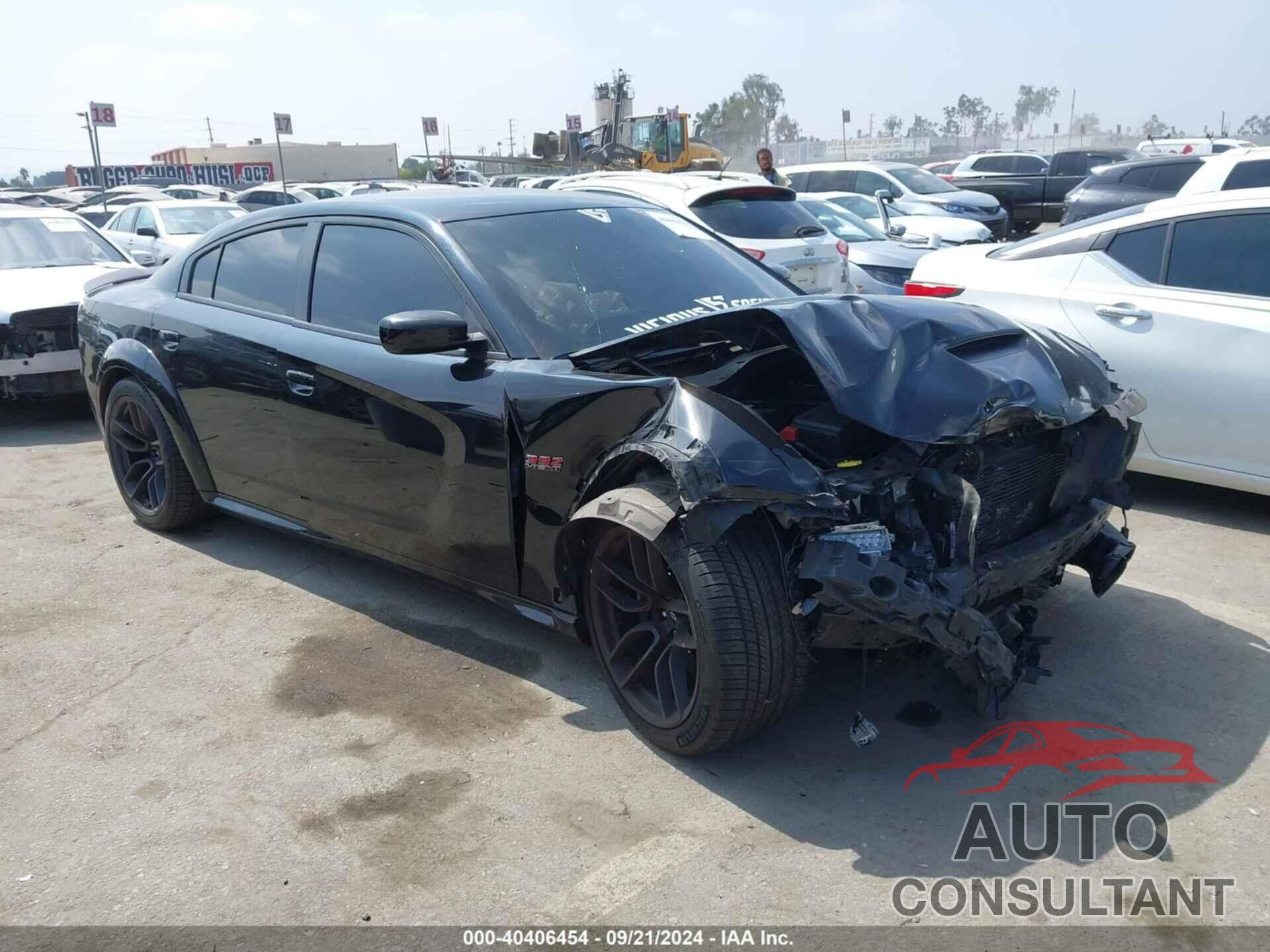 DODGE CHARGER 2021 - 2C3CDXGJ4MH565110