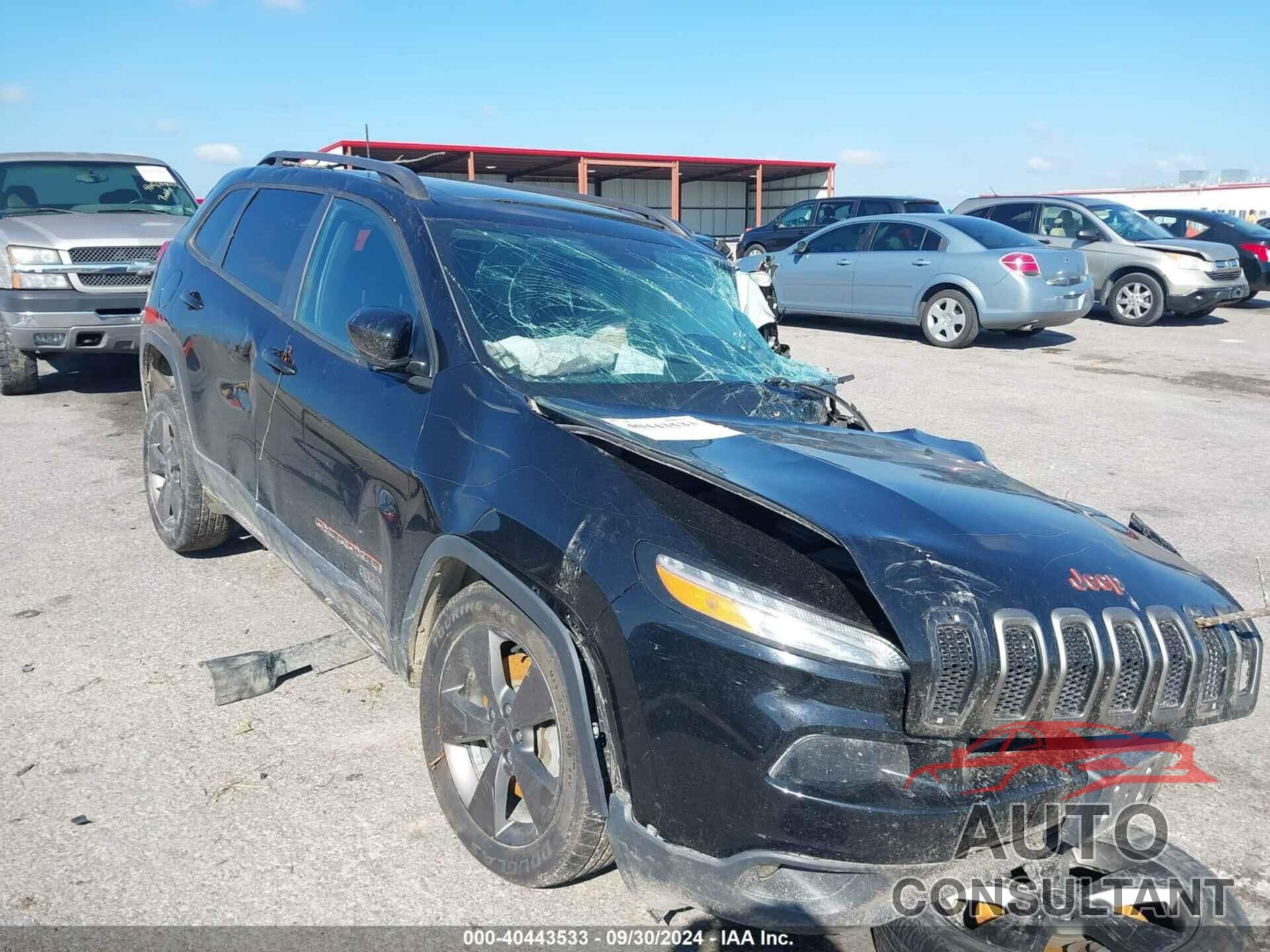 JEEP CHEROKEE 2017 - 1C4PJLCB1HW549709
