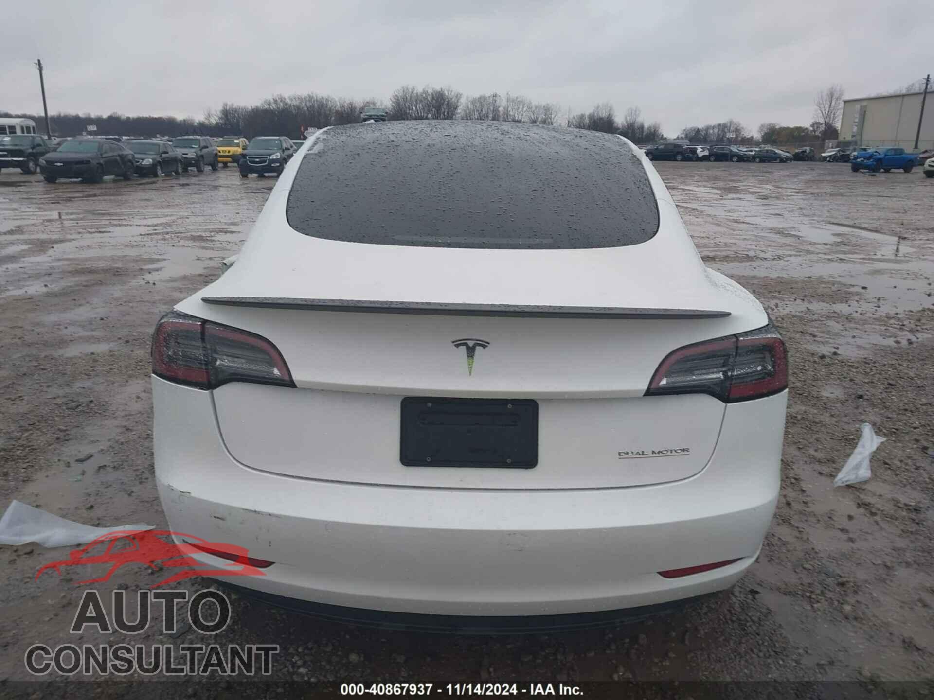 TESLA MODEL 3 2021 - 5YJ3E1EC2MF050249
