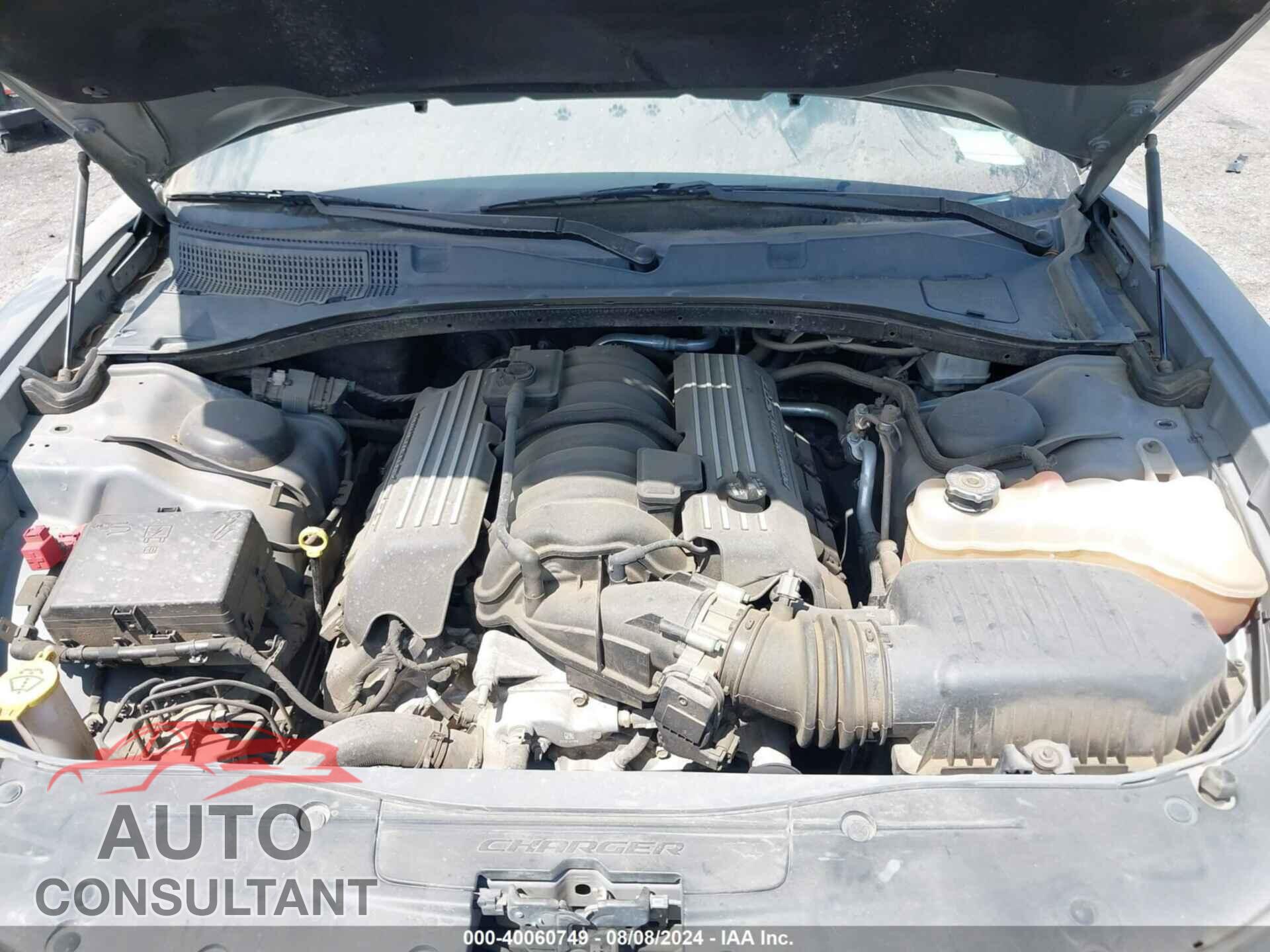 DODGE CHARGER 2019 - 2C3CDXGJ8KH553751