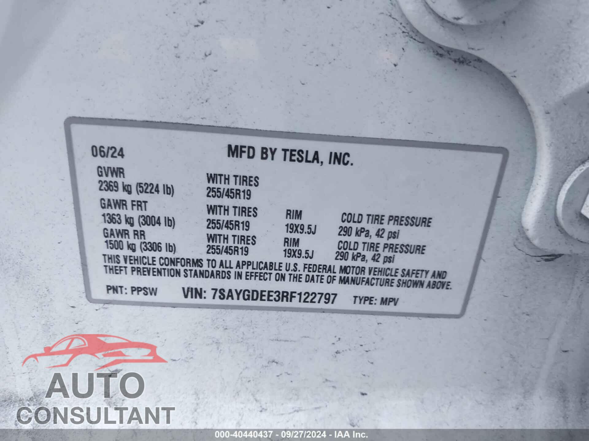 TESLA MODEL Y 2024 - 7SAYGDEE3RF122797