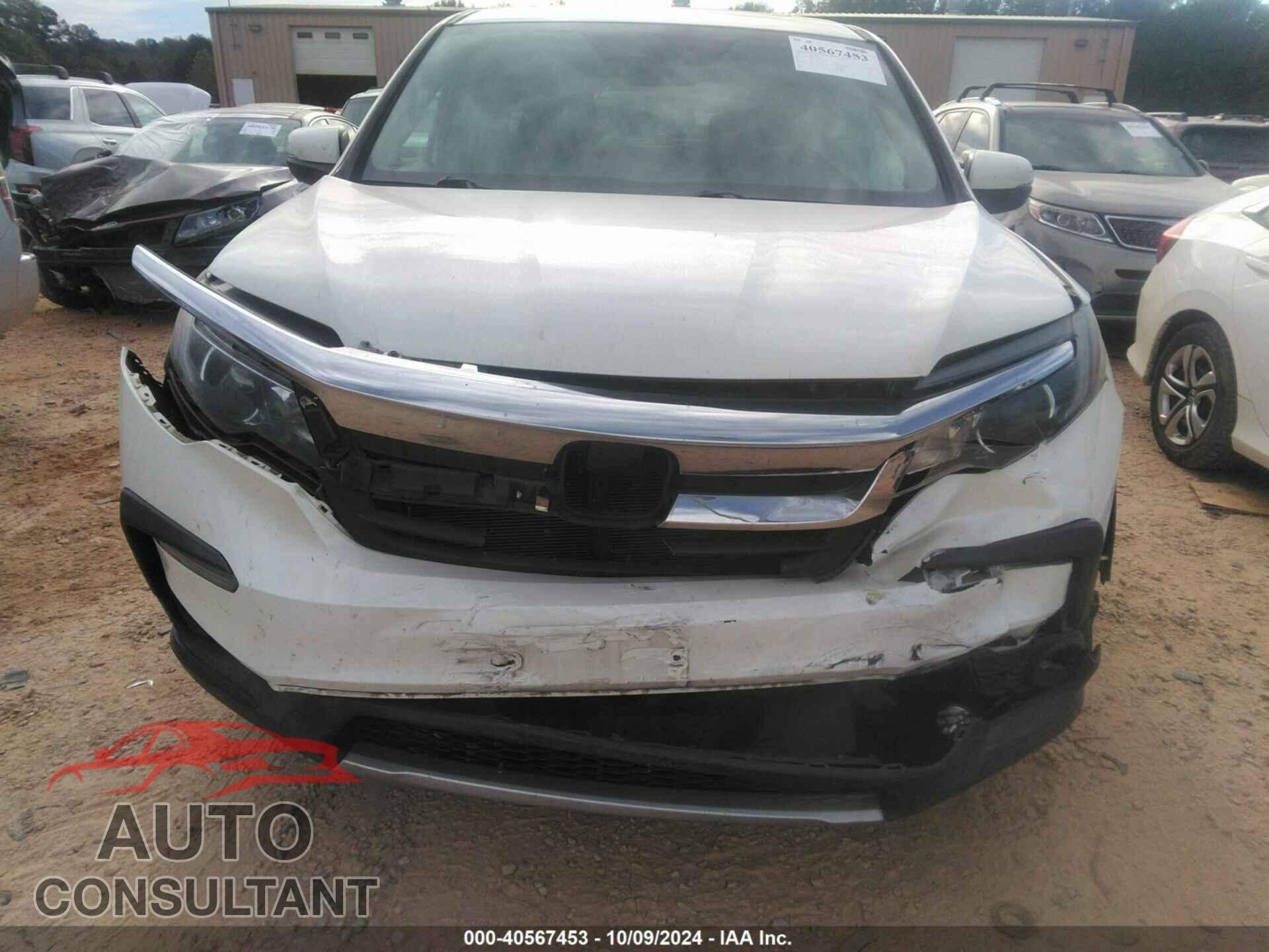 HONDA PILOT 2019 - 5FNYF5H41KB009302