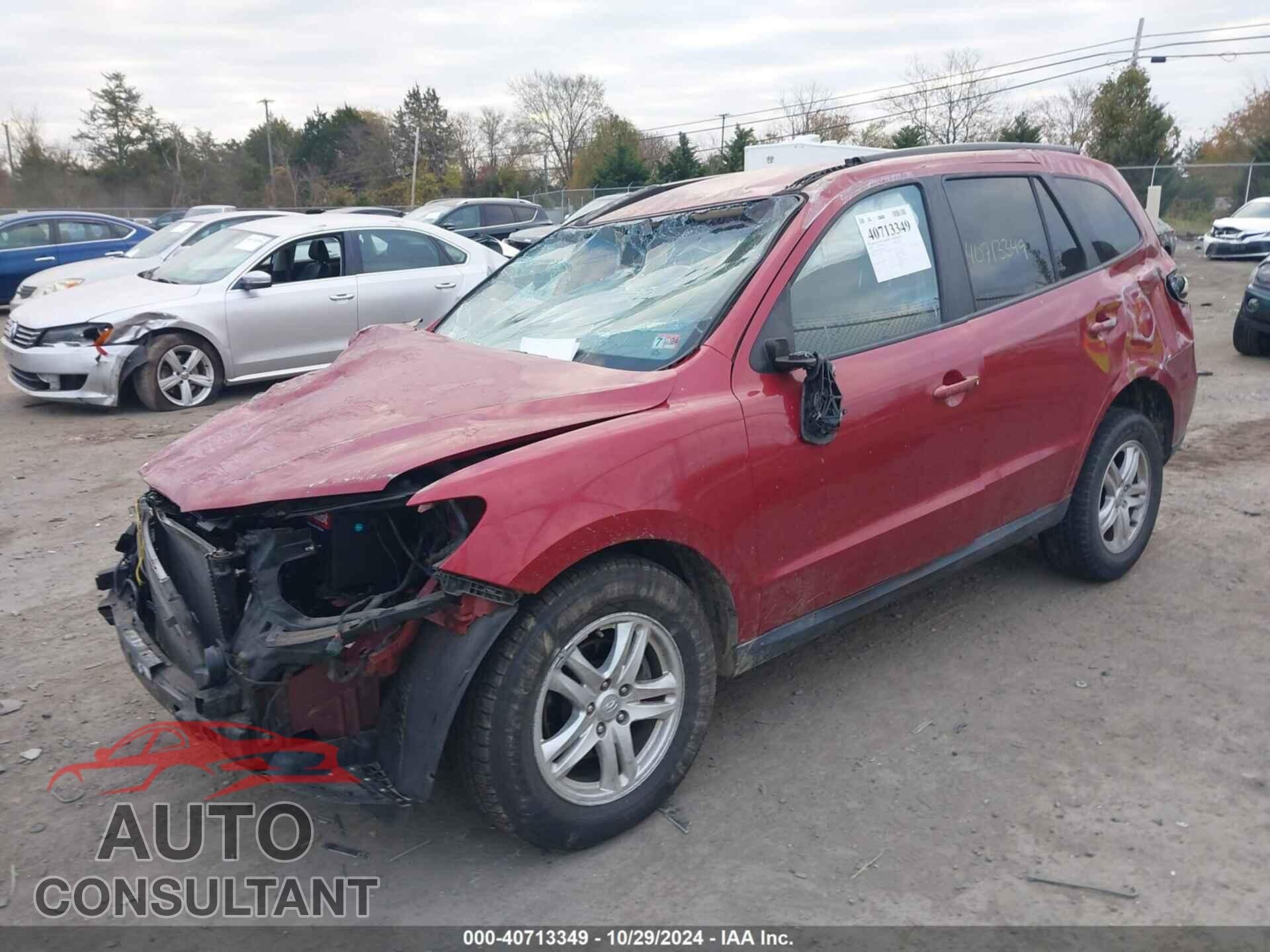 HYUNDAI SANTA FE 2010 - 5NMSGDAB2AH367737