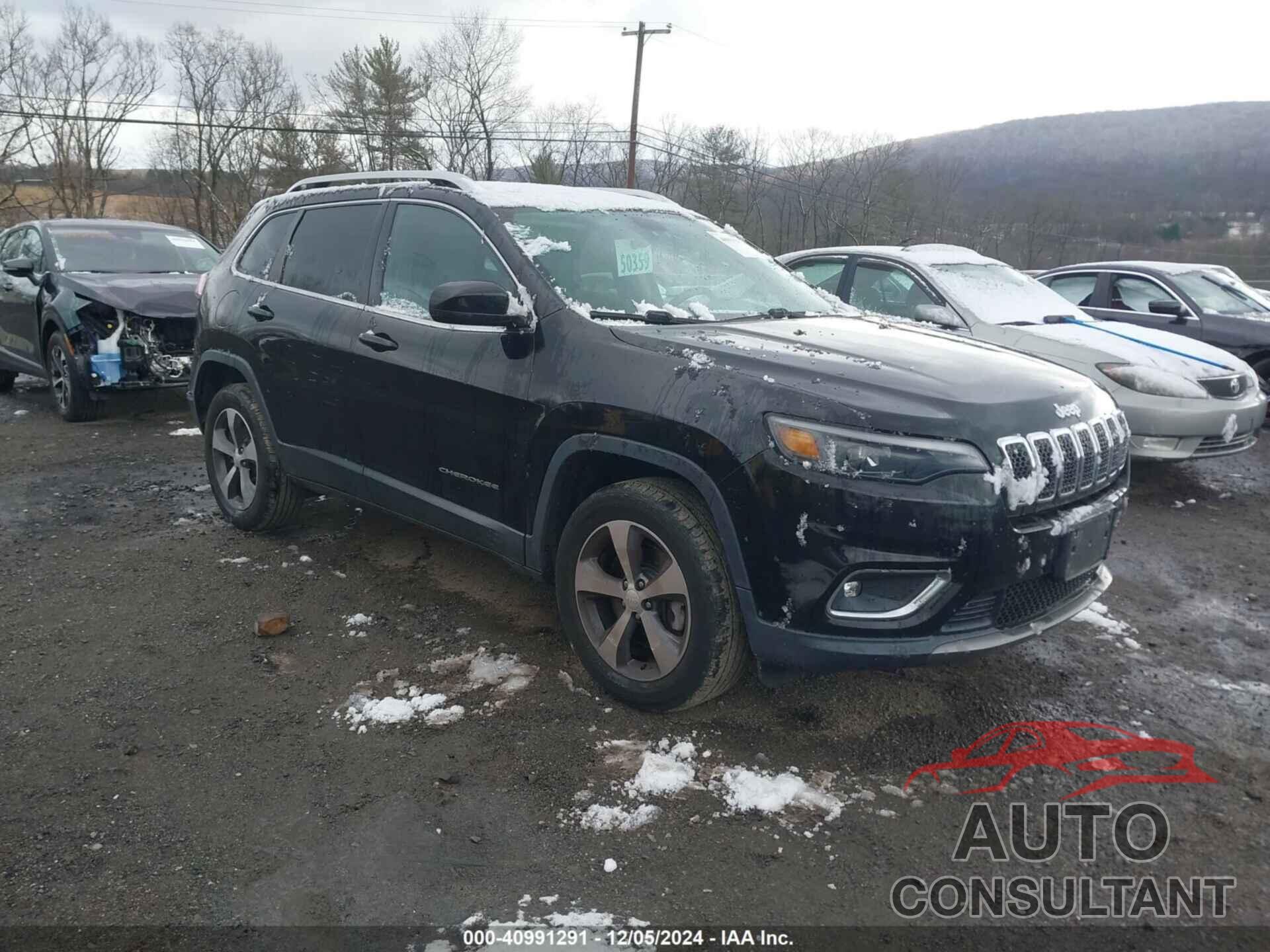 JEEP CHEROKEE 2019 - 1C4PJMDX2KD321852