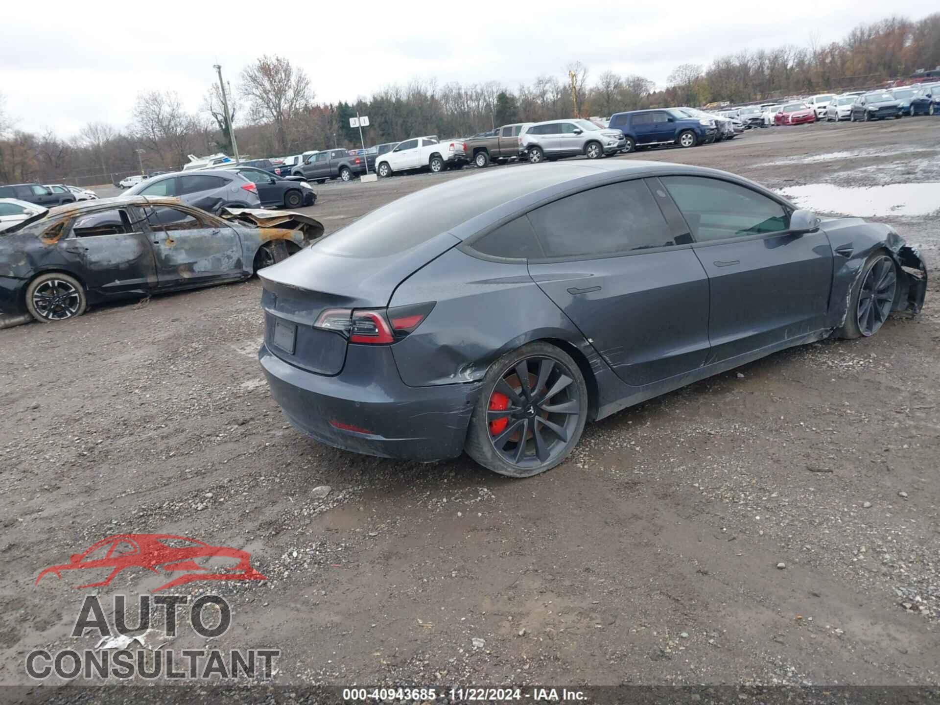 TESLA MODEL 3 2020 - 5YJ3E1EC2LF713463