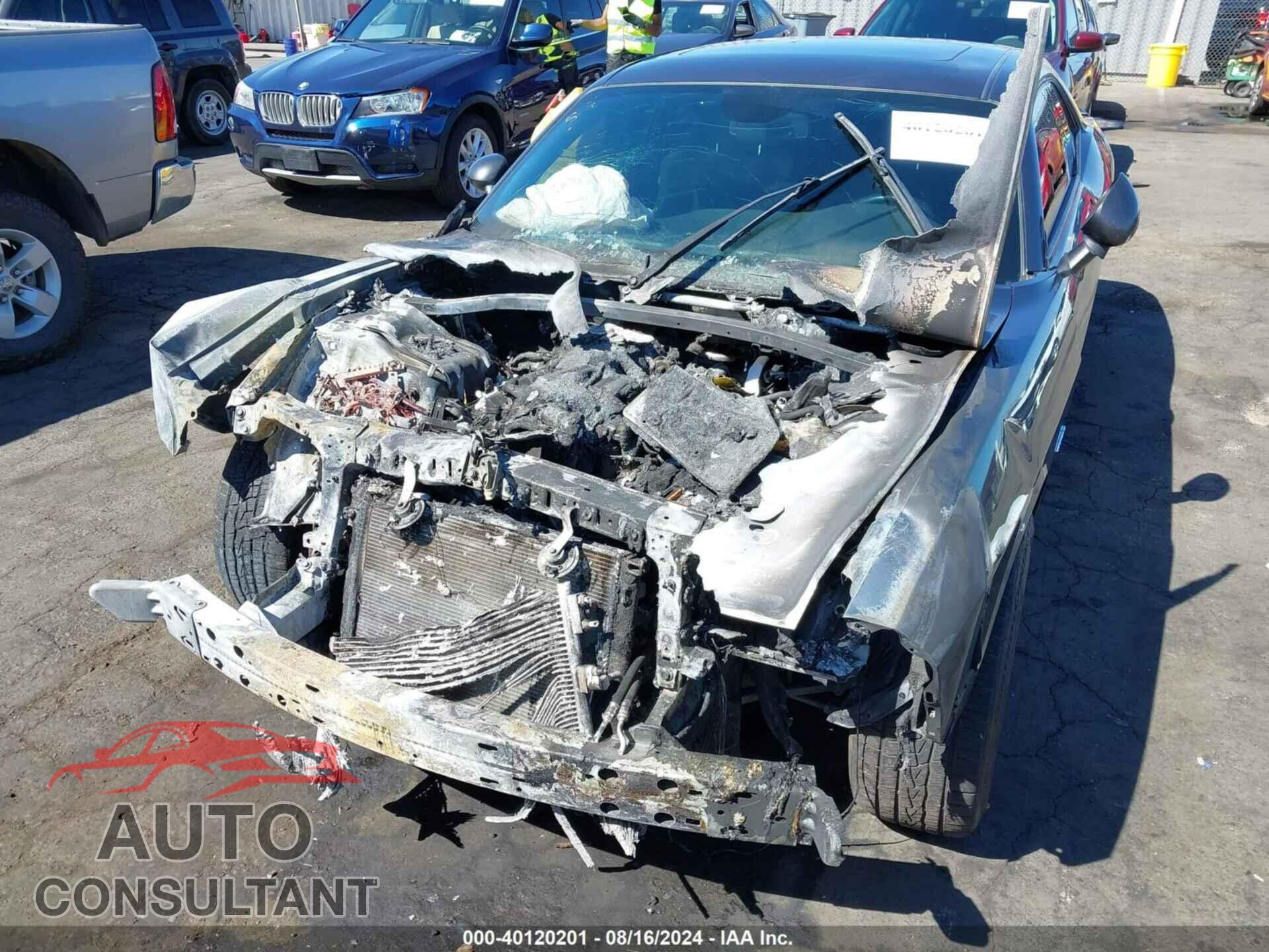 DODGE CHALLENGER 2019 - 2C3CDZBT9KH654740