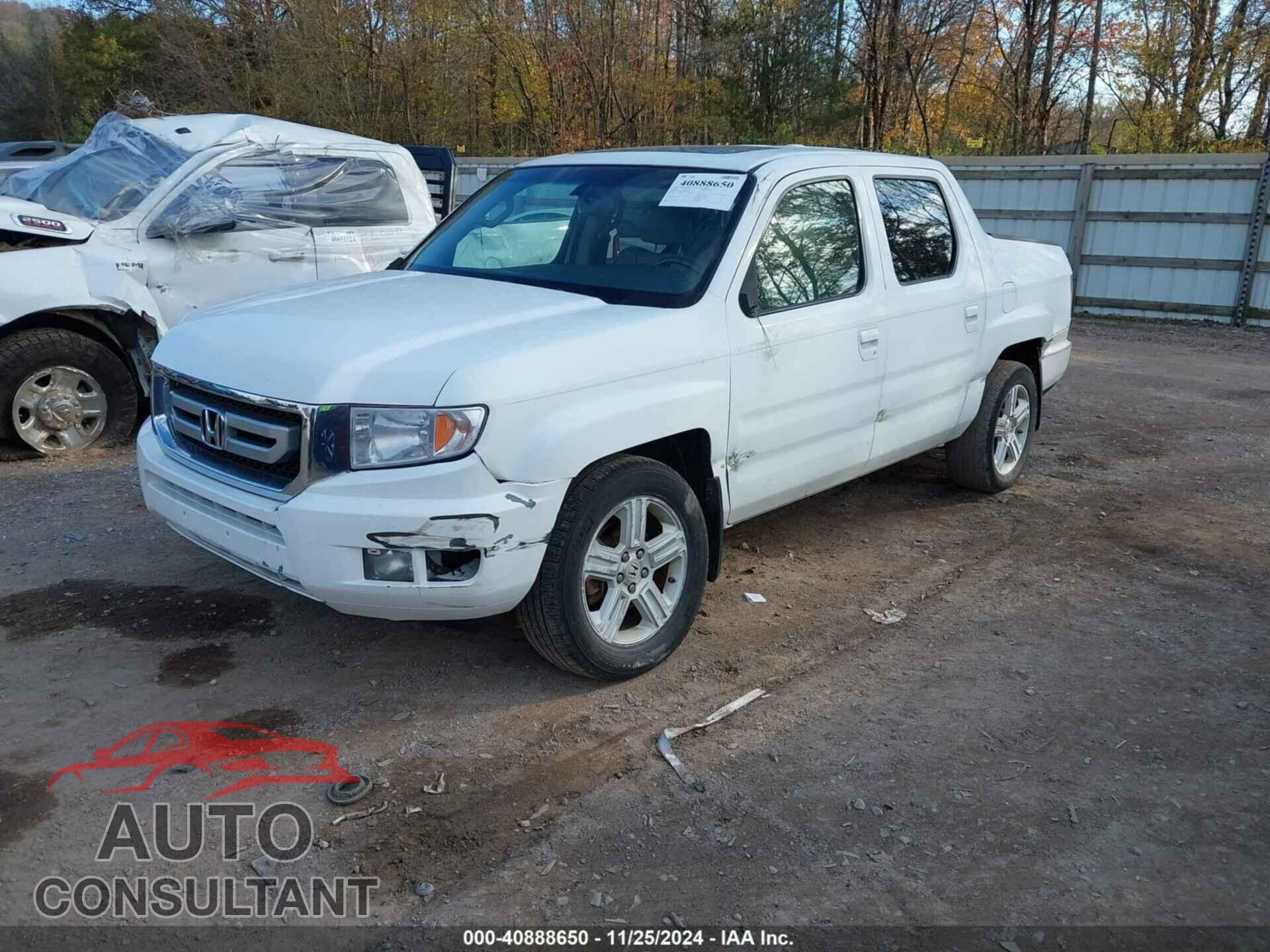 HONDA RIDGELINE 2009 - 5FPYK16529B102329