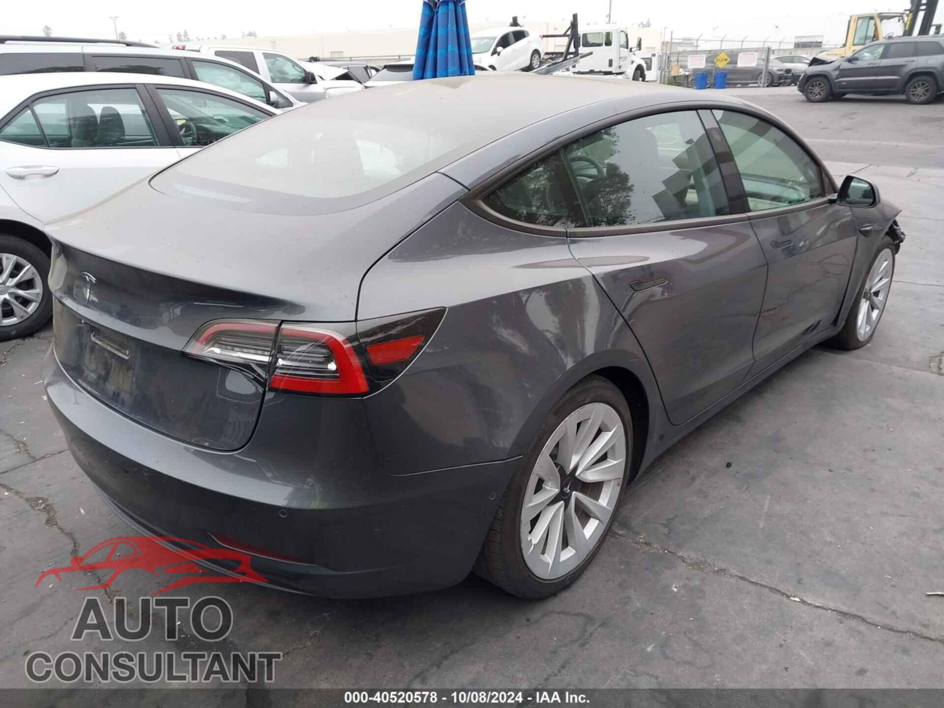 TESLA MODEL 3 2021 - 5YJ3E1EA1MF067784
