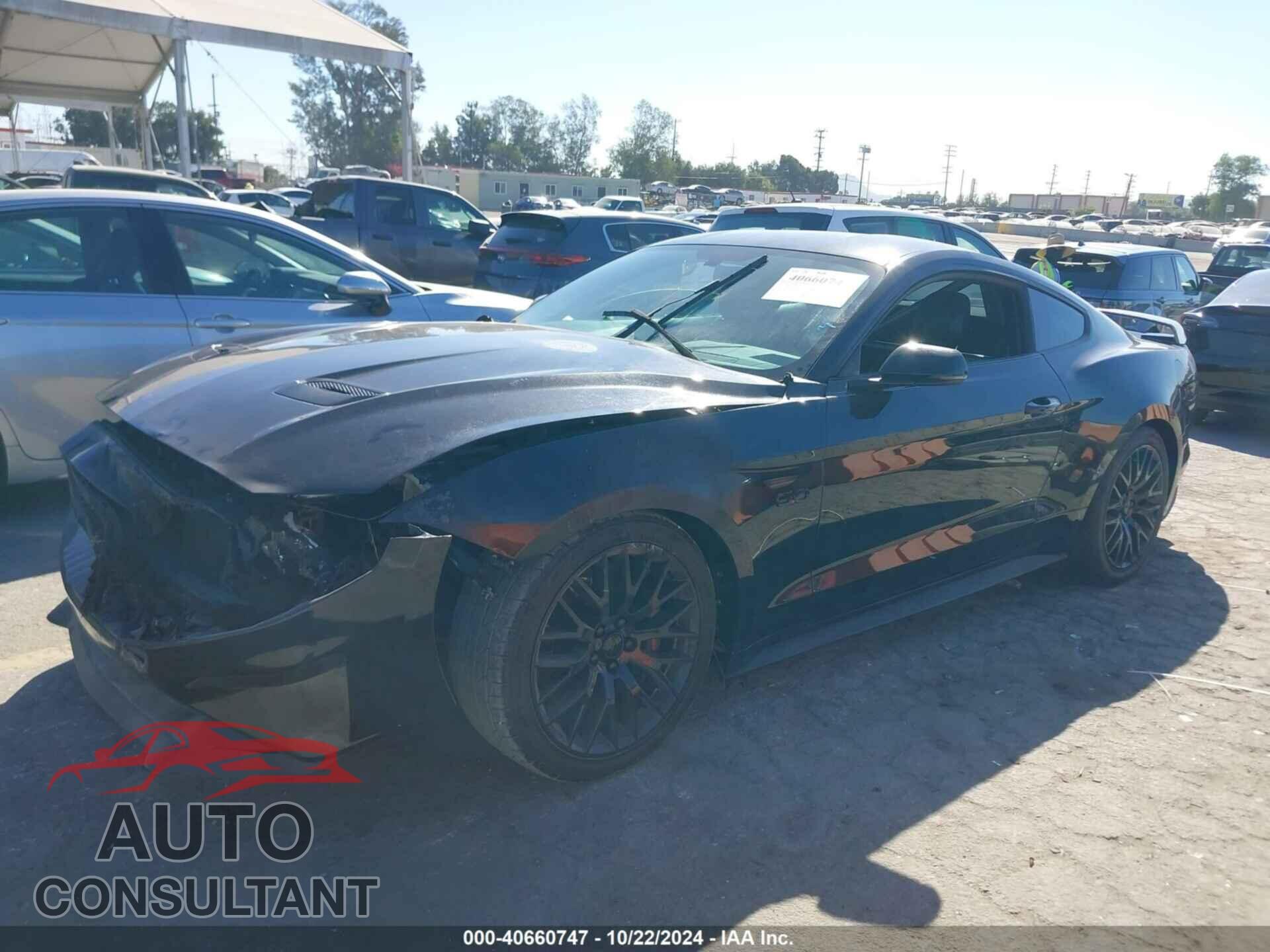 FORD MUSTANG 2019 - 1FA6P8CF7K5157735