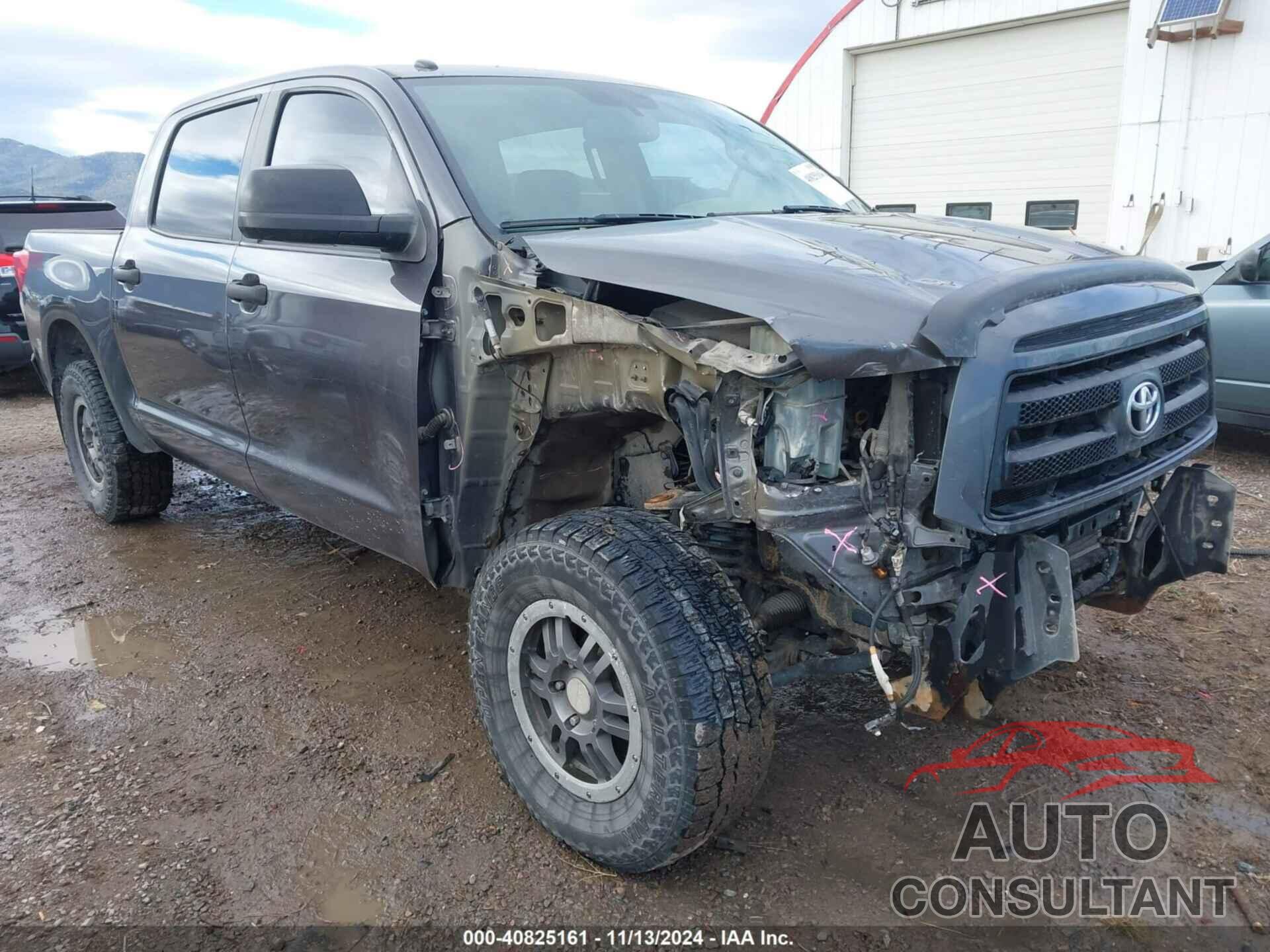 TOYOTA TUNDRA 2011 - 5TFDY5F19BX199020