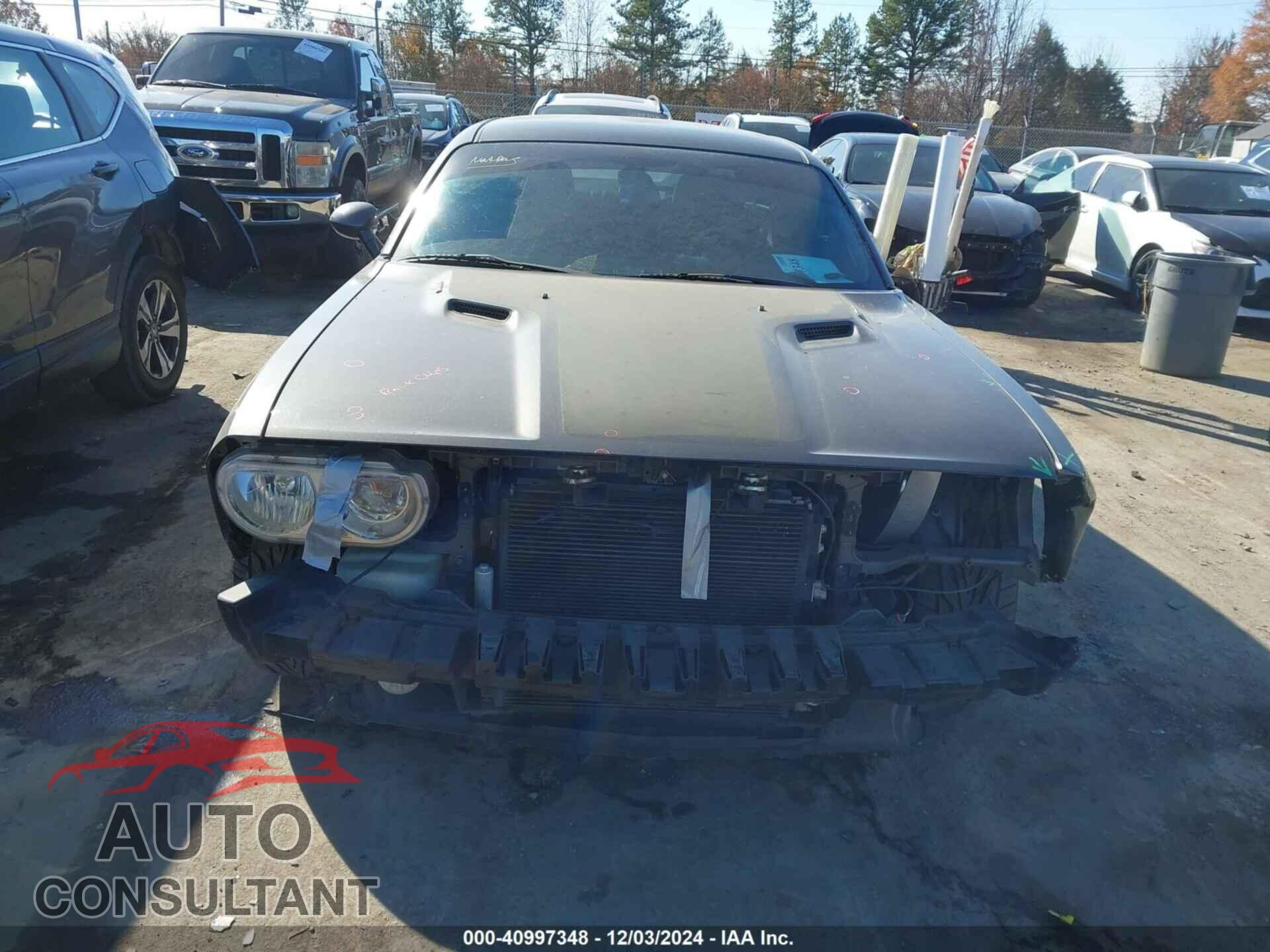 DODGE CHALLENGER 2013 - 2C3CDYBTXDH593590