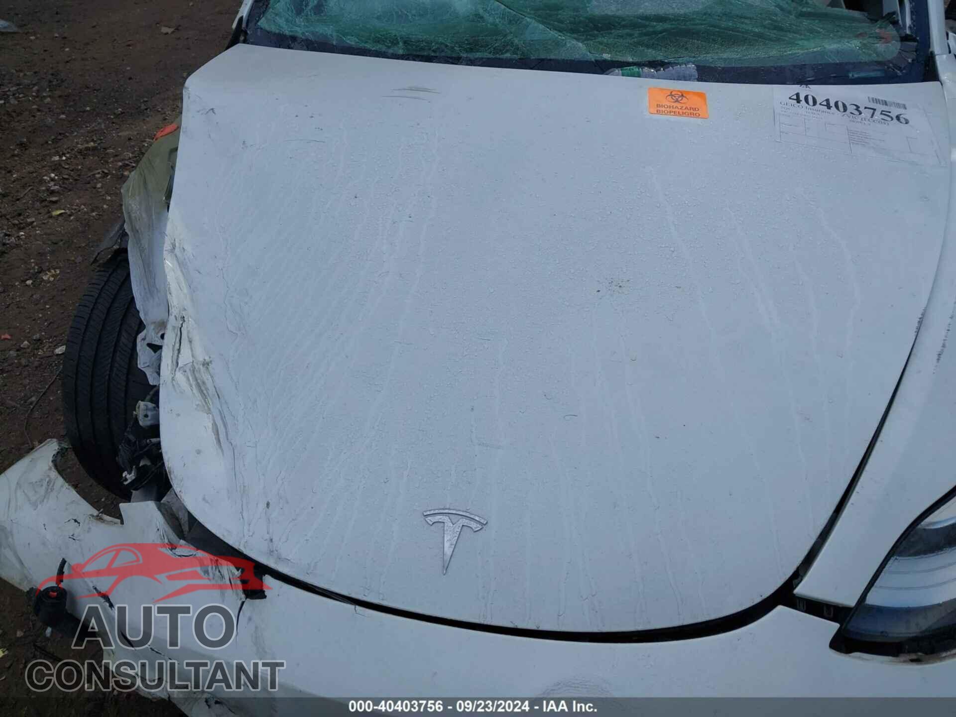 TESLA MODEL 3 2020 - 5YJ3E1EB9LF744717