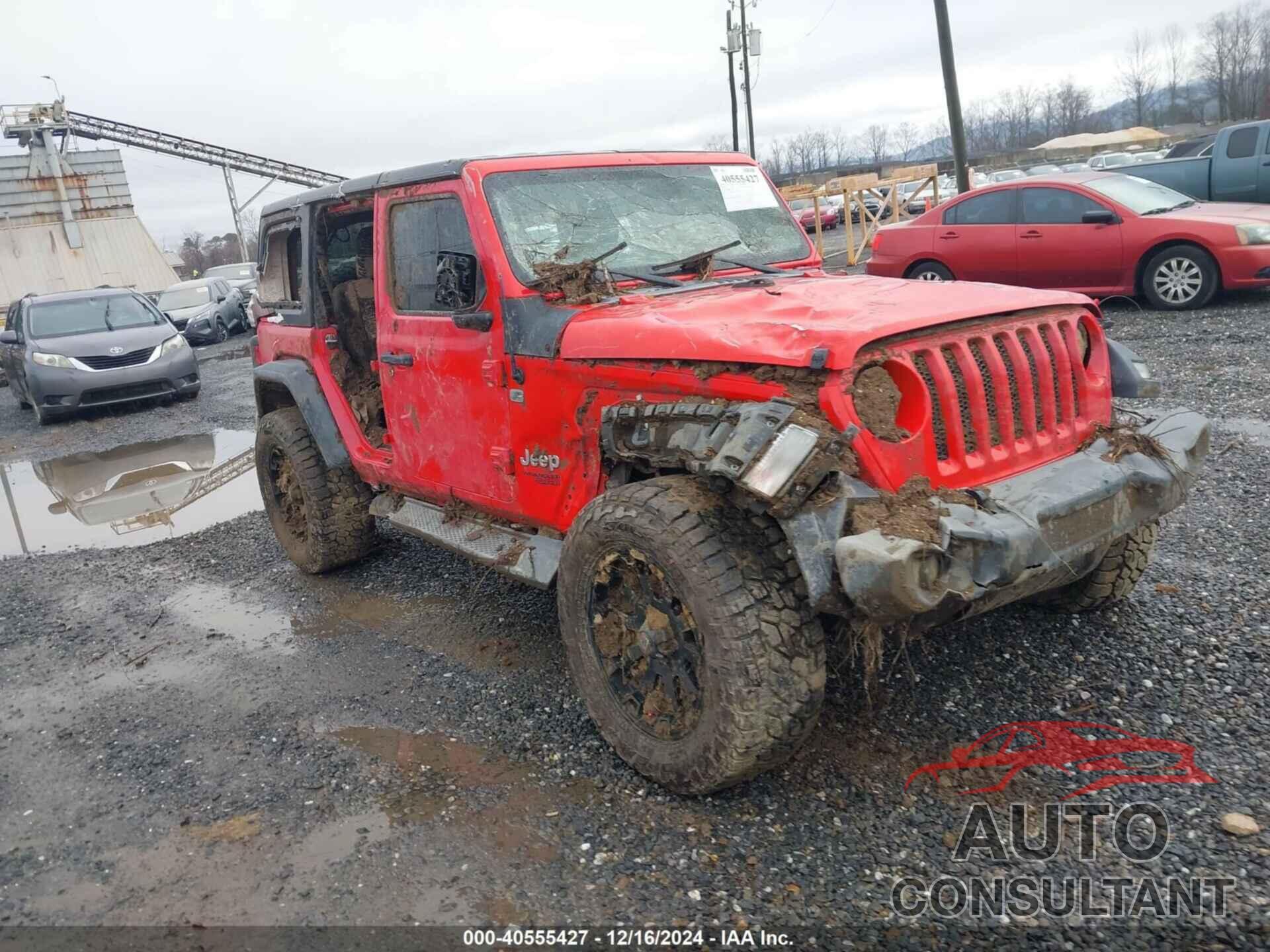 JEEP WRANGLER UNLIMITED 2019 - 1C4HJXDG4KW551354