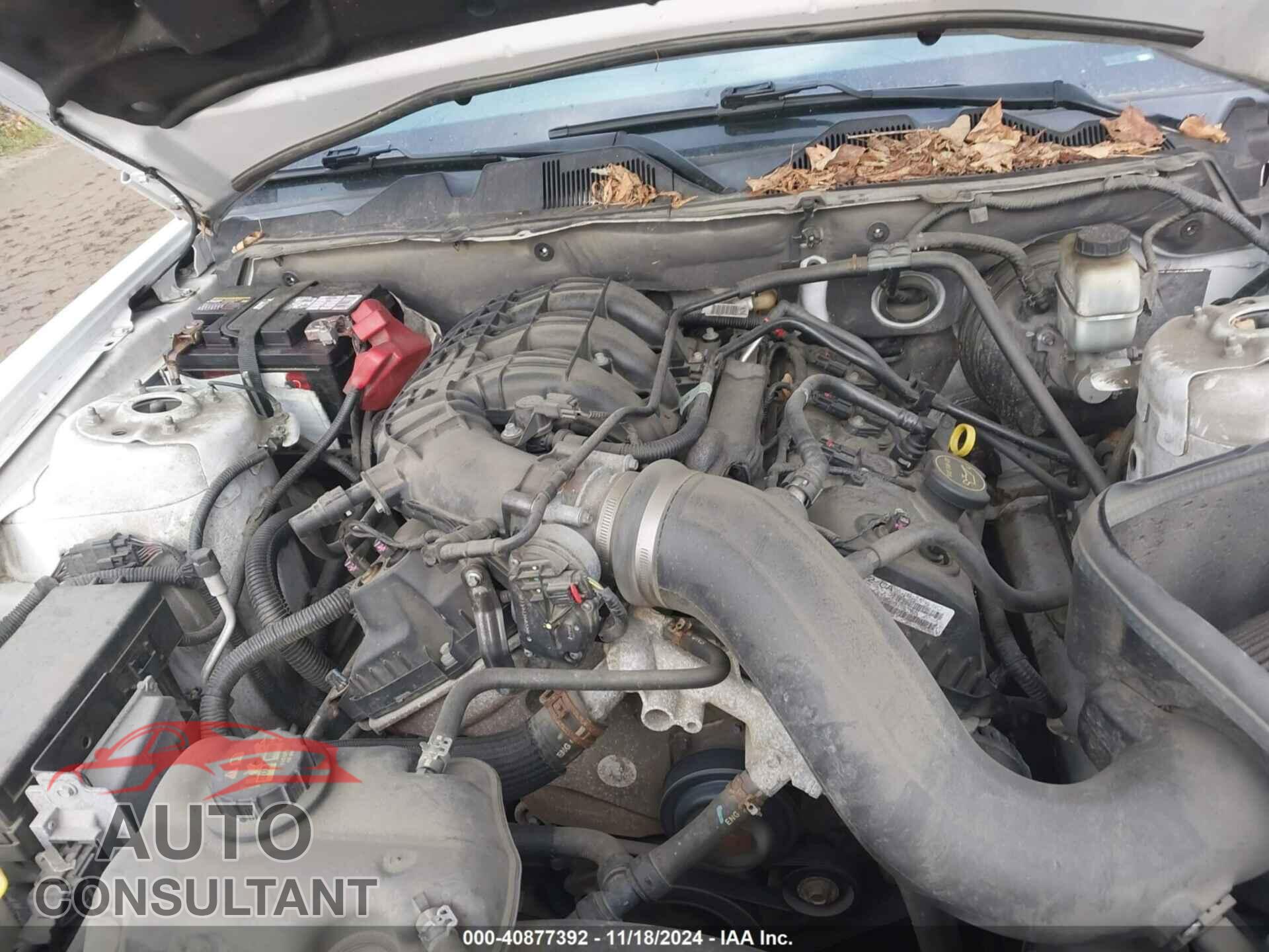 FORD MUSTANG 2014 - 1ZVBP8AM2E5279429