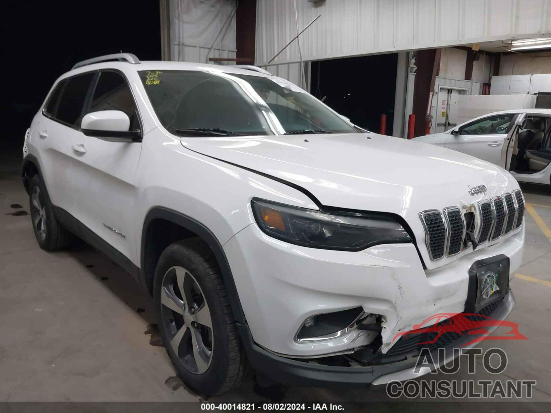 JEEP CHEROKEE 2019 - 1C4PJMDX3KD313937