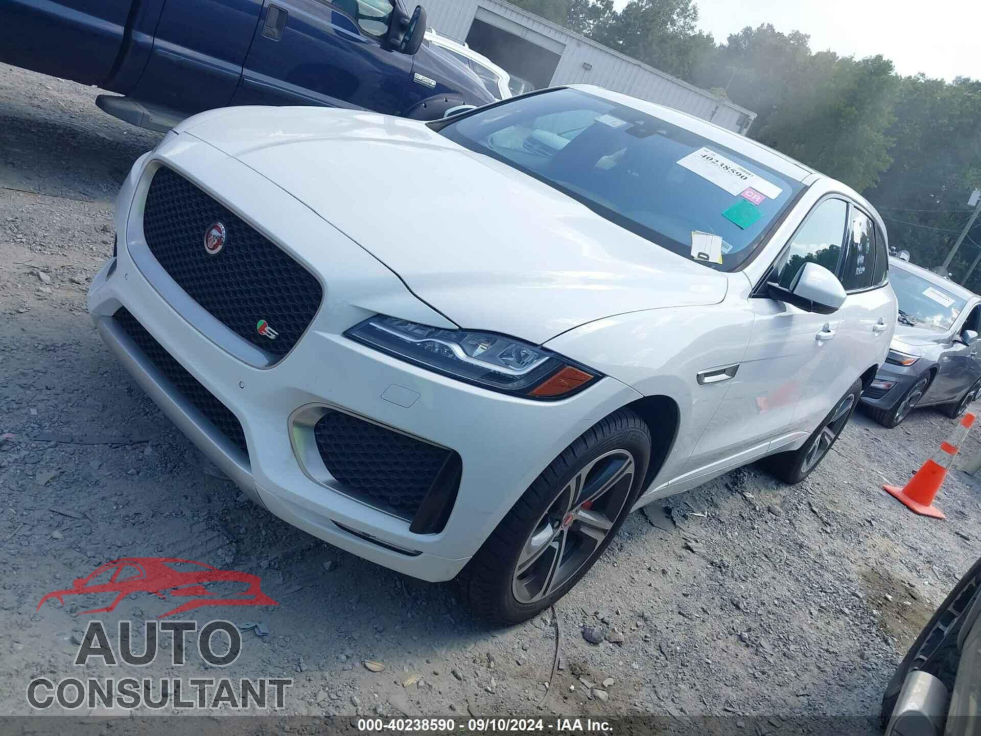 JAGUAR F-PACE 2020 - SADCM2FV6LA639227
