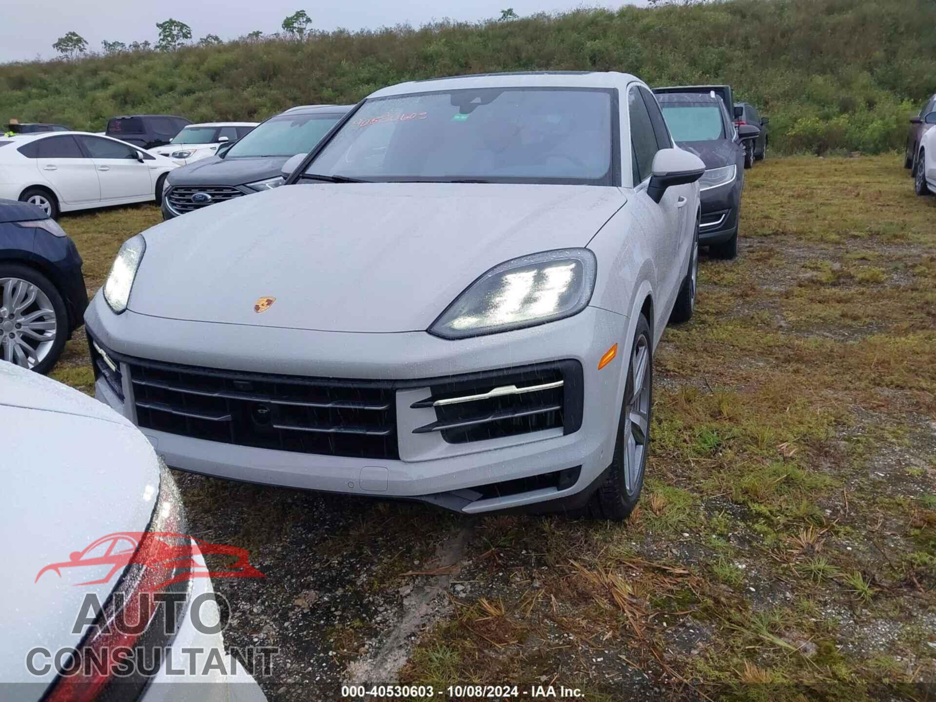 PORSCHE CAYENNE 2024 - WP1AL2AY4RDA33633