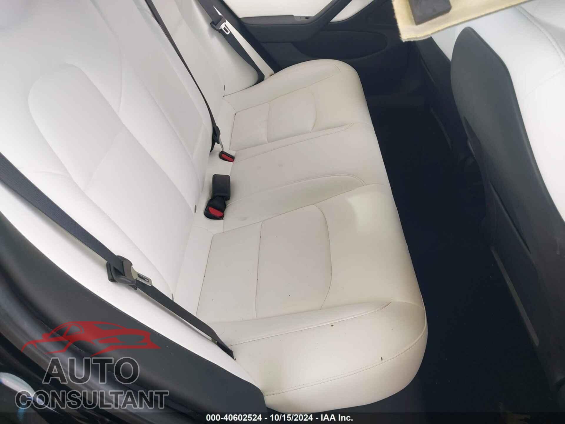 TESLA MODEL 3 2019 - 5YJ3E1EB2KF455015