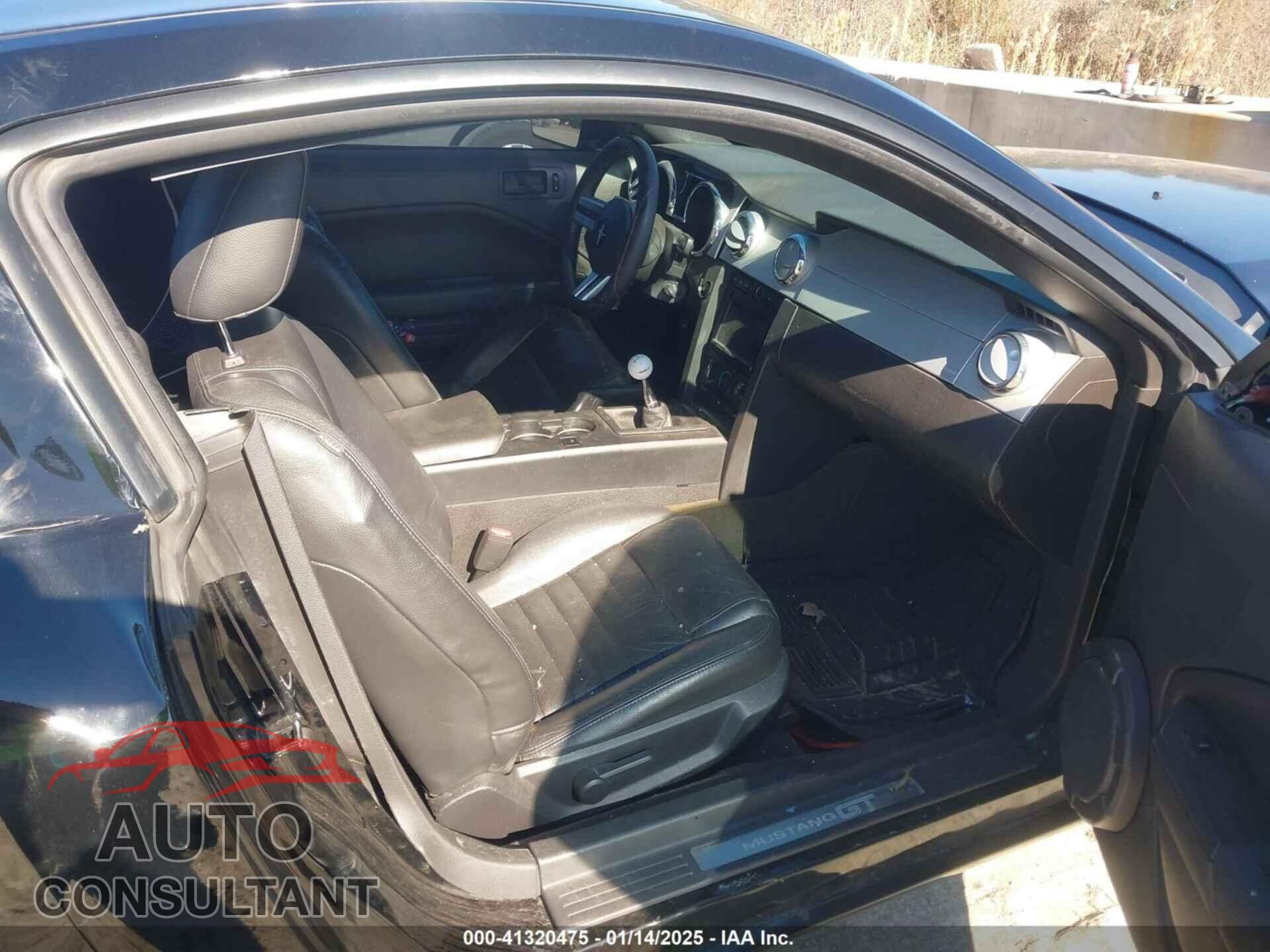 FORD MUSTANG 2009 - 1ZVHT82H795123500